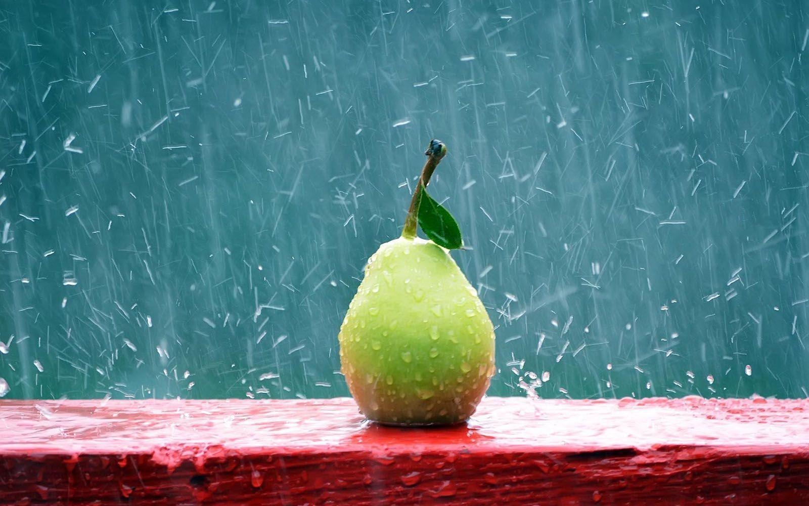 1600x1000 pear rain wallpaper, Desktop