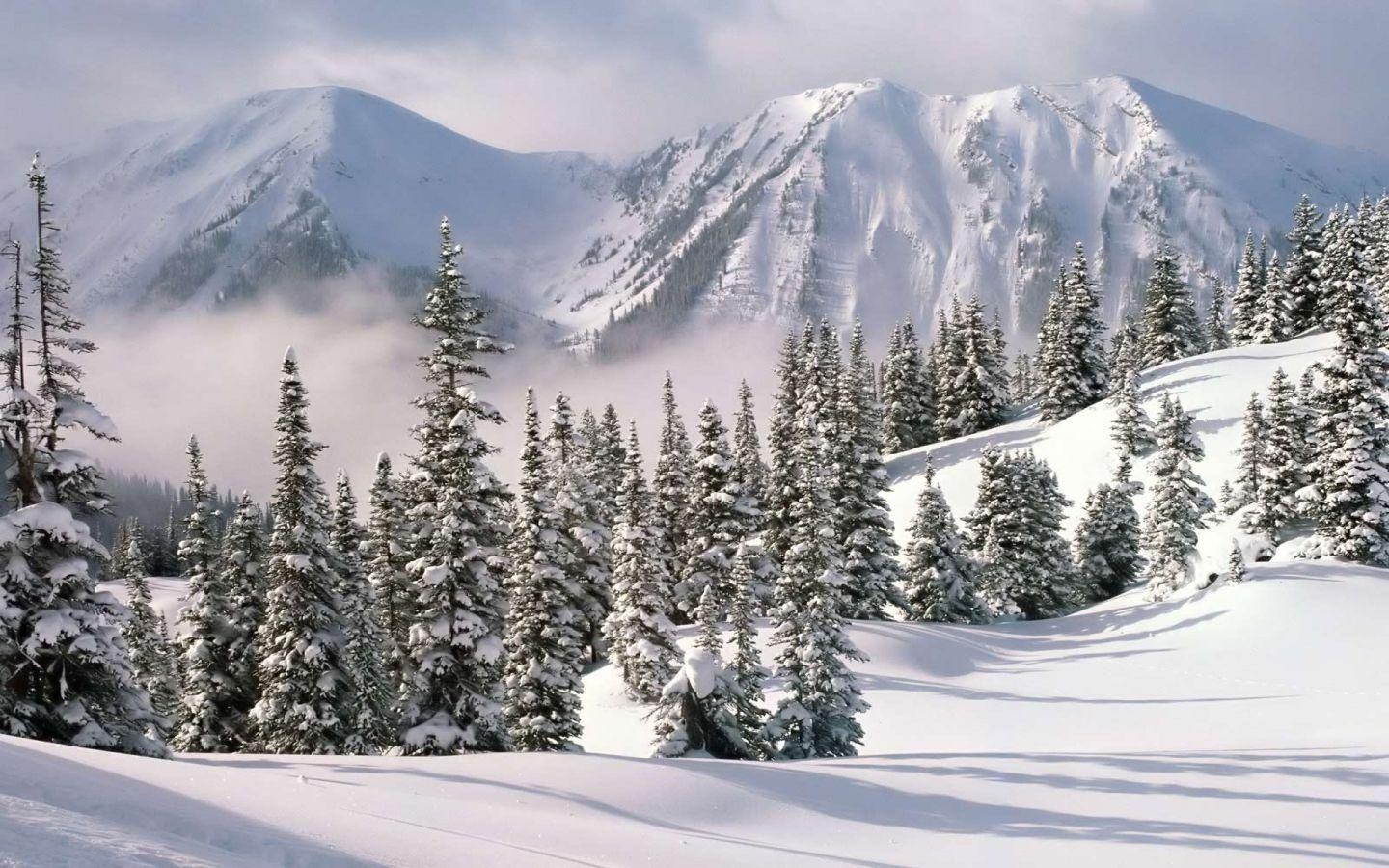 1440x900 Free Winter Scenery Wallpaper Links Service, Desktop