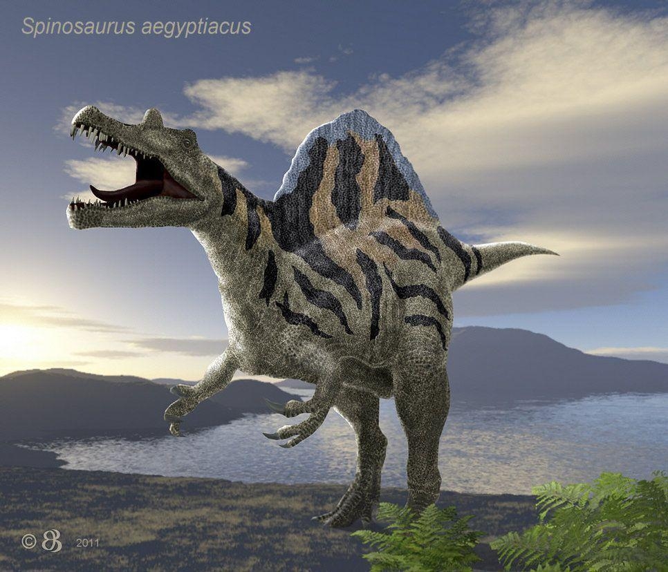 970x830 Spinosaurus Aegyptiacus By Taena Doman, Desktop