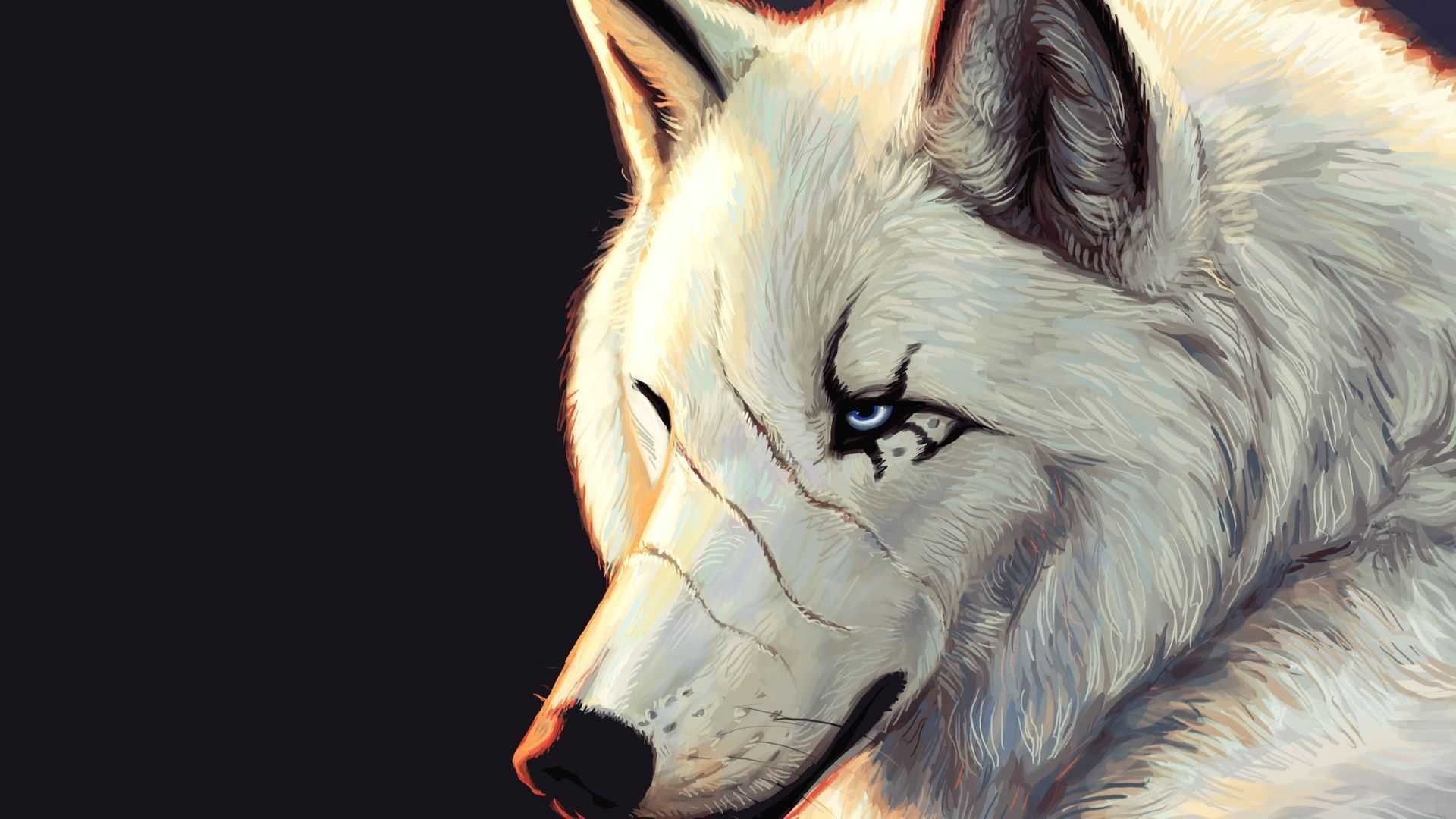 1920x1080 Awesome Wolf Wallpaper Free Awesome Wolf Background, Desktop