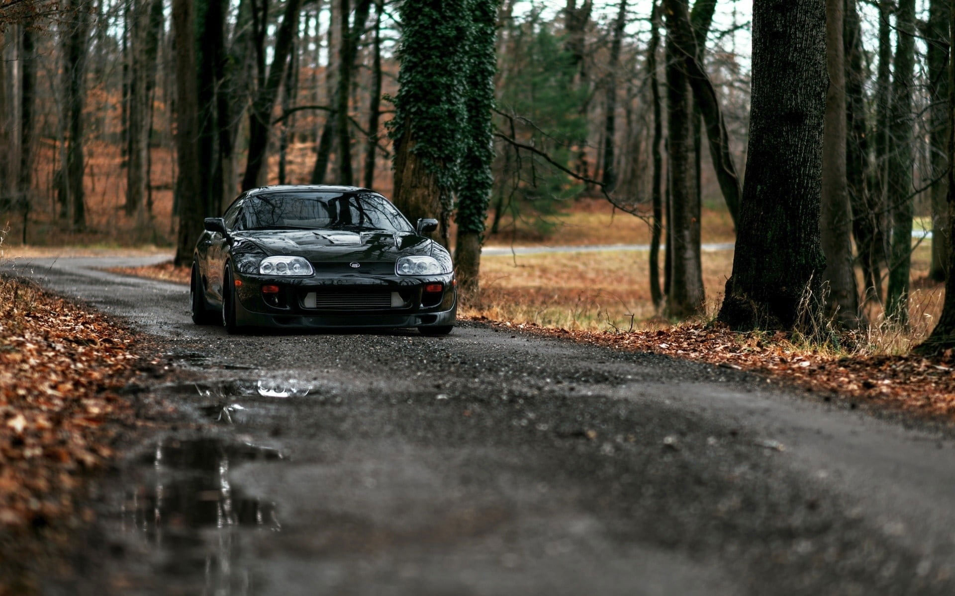 1920x1200 Black Car Wallpaper, Forest, Road, Toyota Supra, Tuning, Dirt Road, JDM • Wallpaper For You, Desktop