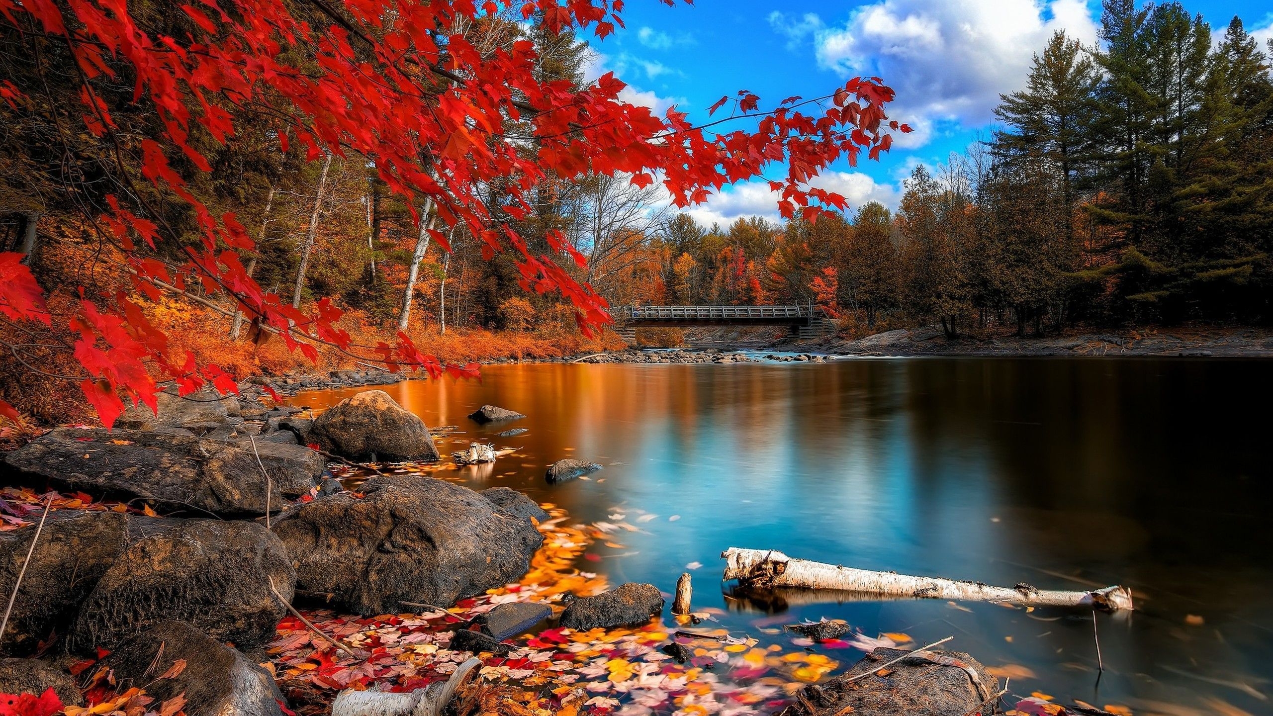 2560x1440 Fall Wallpaper Free 2560X1440 Fall Background, Desktop