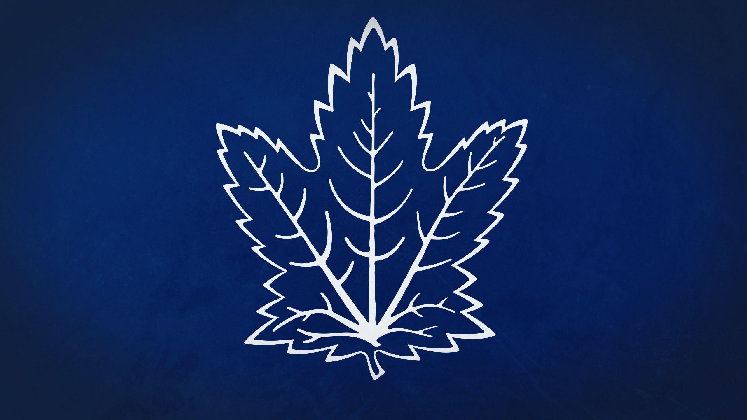 2560x1440 Toronto Maple Leafs HD Wallpaper and Background, Desktop