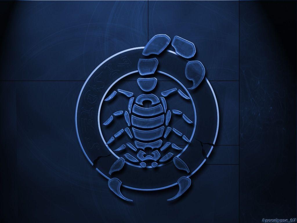 1030x770 Scorpion Wallpaper and Picture Items, Desktop