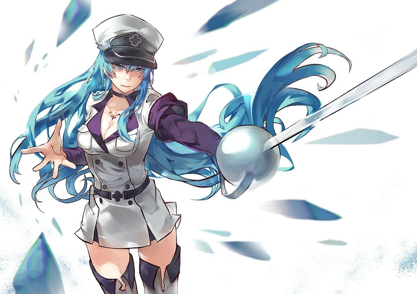 1440x1020 Akame ga Kill!, Anime girls, Esdeath, Thigh highs HD Wallpaper / Desktop and Mobile Image & Photo, Desktop