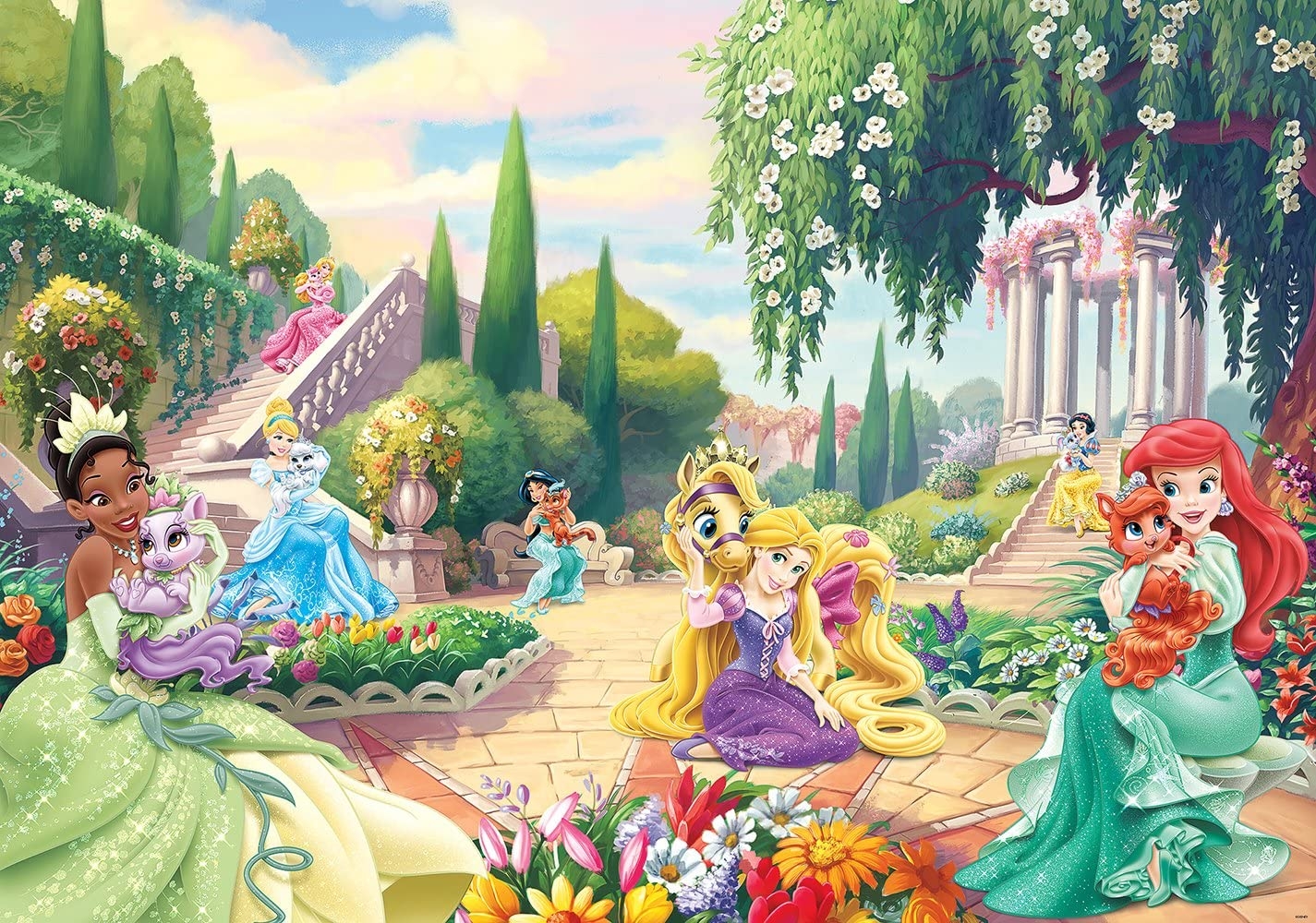 1430x1000 Wizzard & Genius WG 2488V4 LC Disney Princess Tiana Arielle Photo Wallpaper, Multi Colour: Amazon.ca: Tools & Home Improvement, Desktop