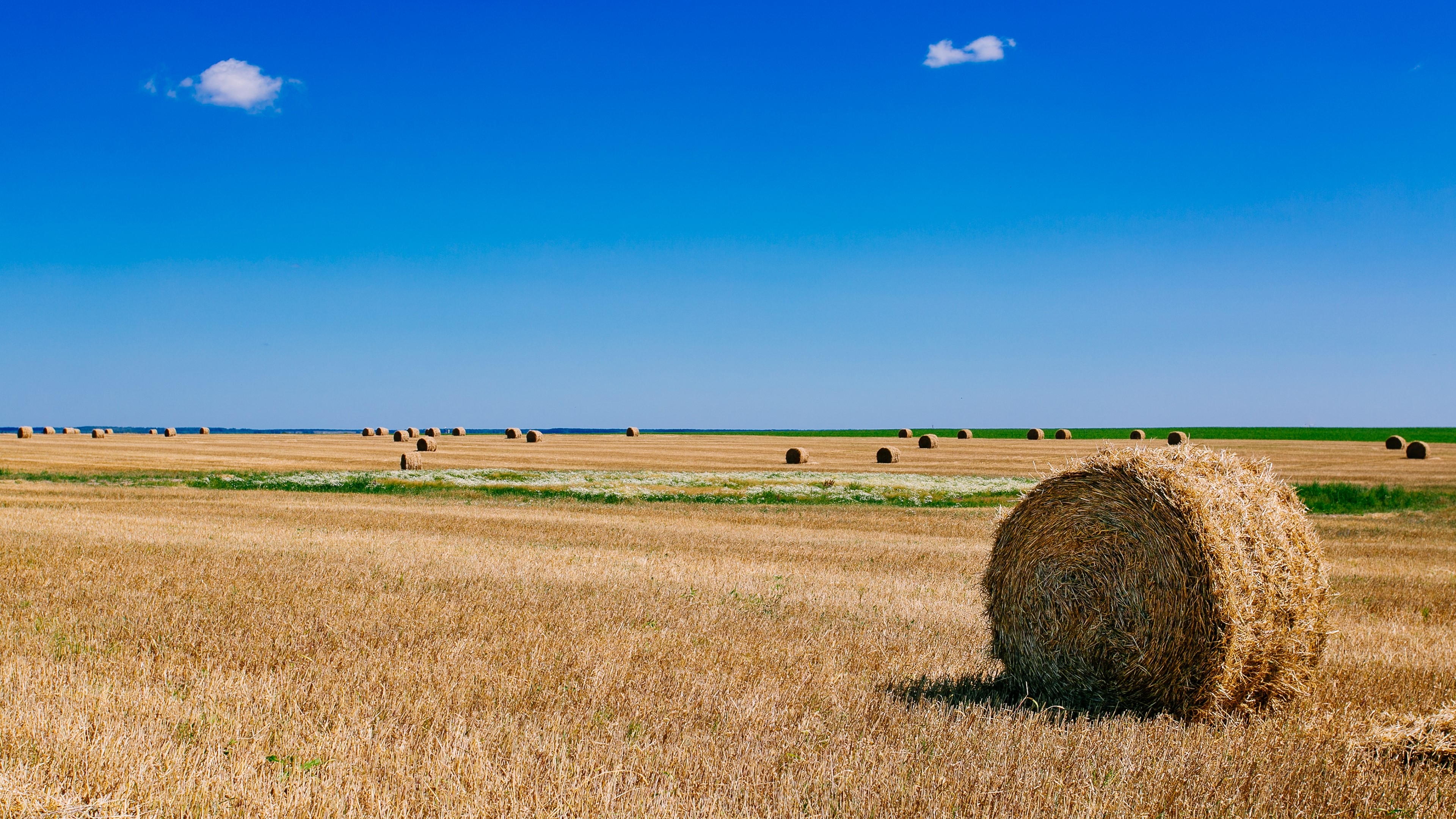 3840x2160 4K, farm, landscape, field Gallery HD Wallpaper, Desktop