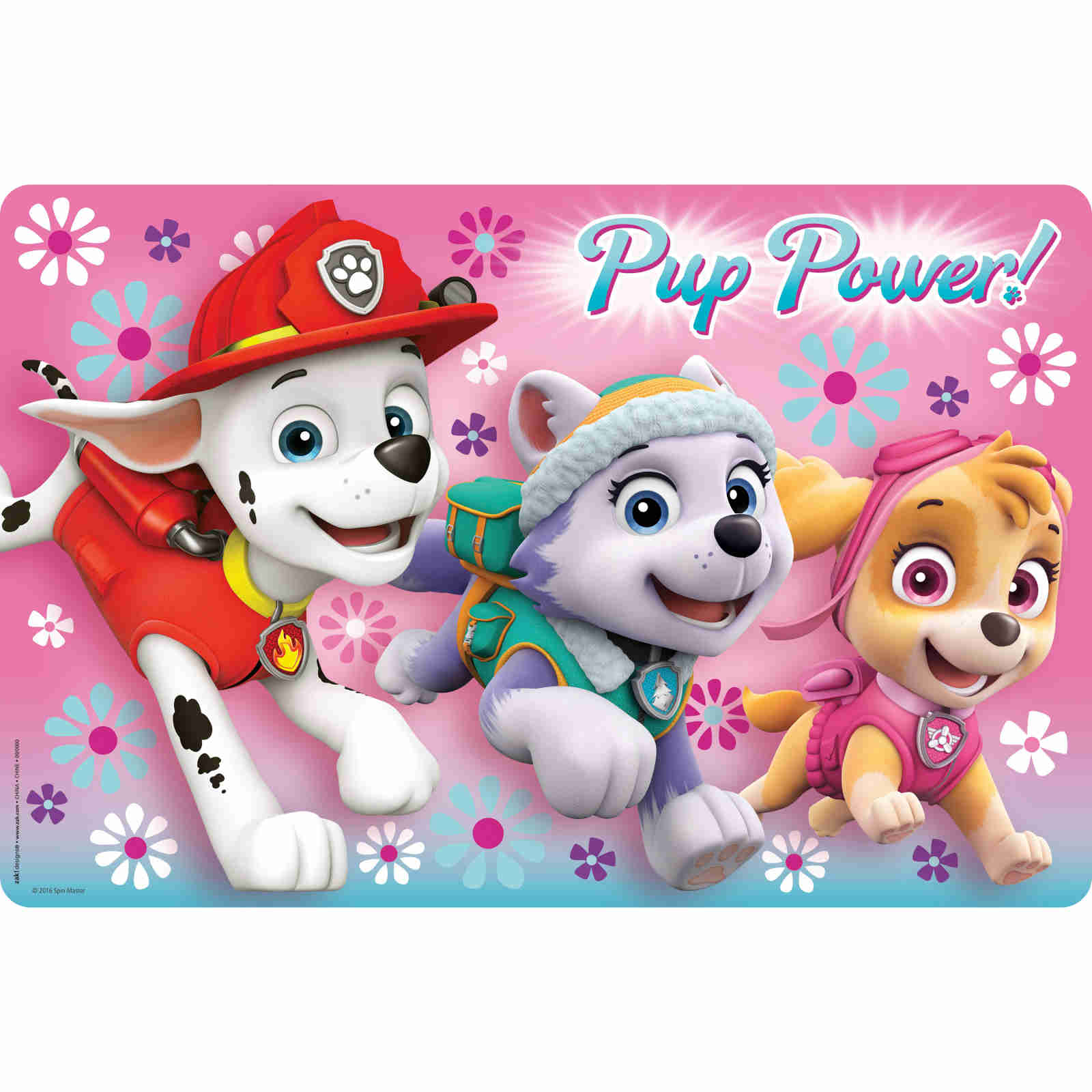 1600x1600 Initial Image Of Paw Patrol Skye, Phone