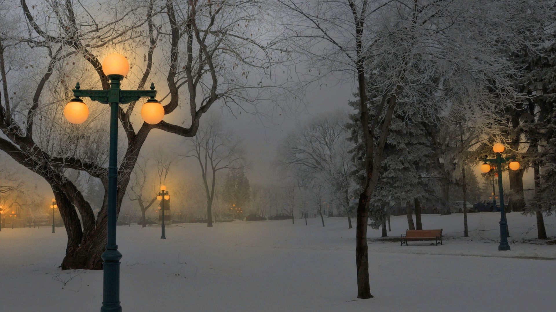 1920x1080 Foggy winter morning [], Desktop