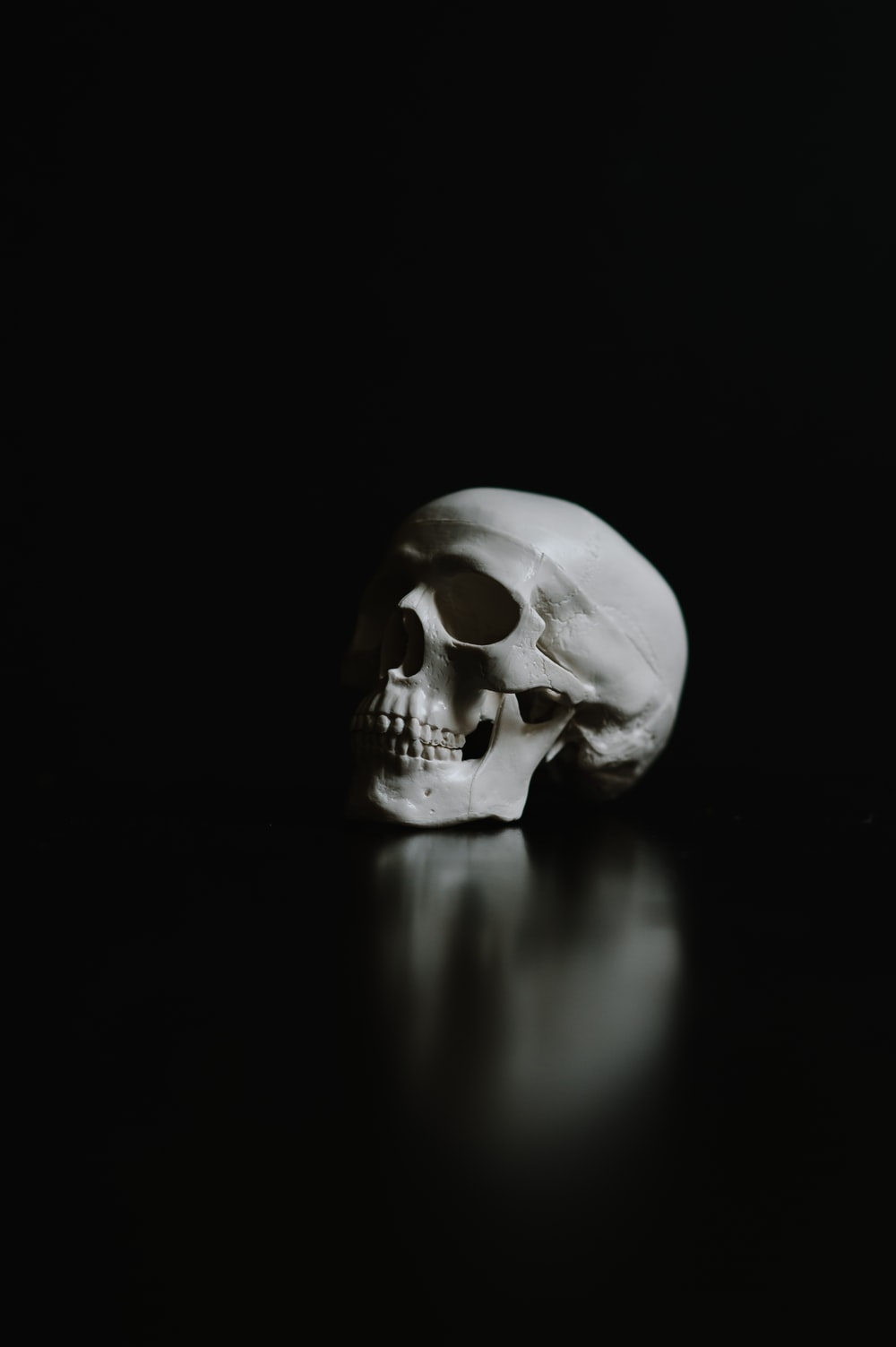 1000x1510 Skeleton Picture [HD]. Download Free Image, Phone