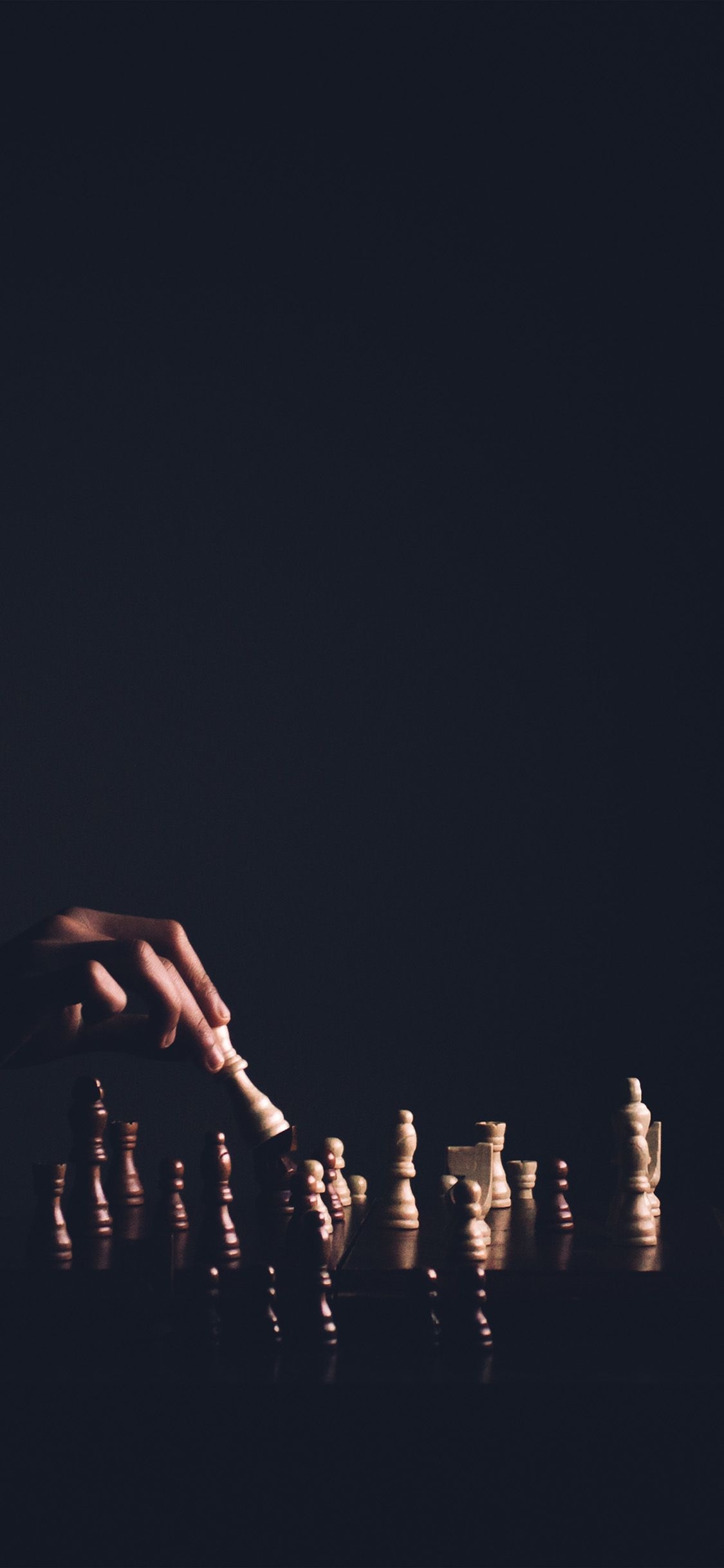 1130x2440 Chess Dark Game Nature Wallpaper, Phone