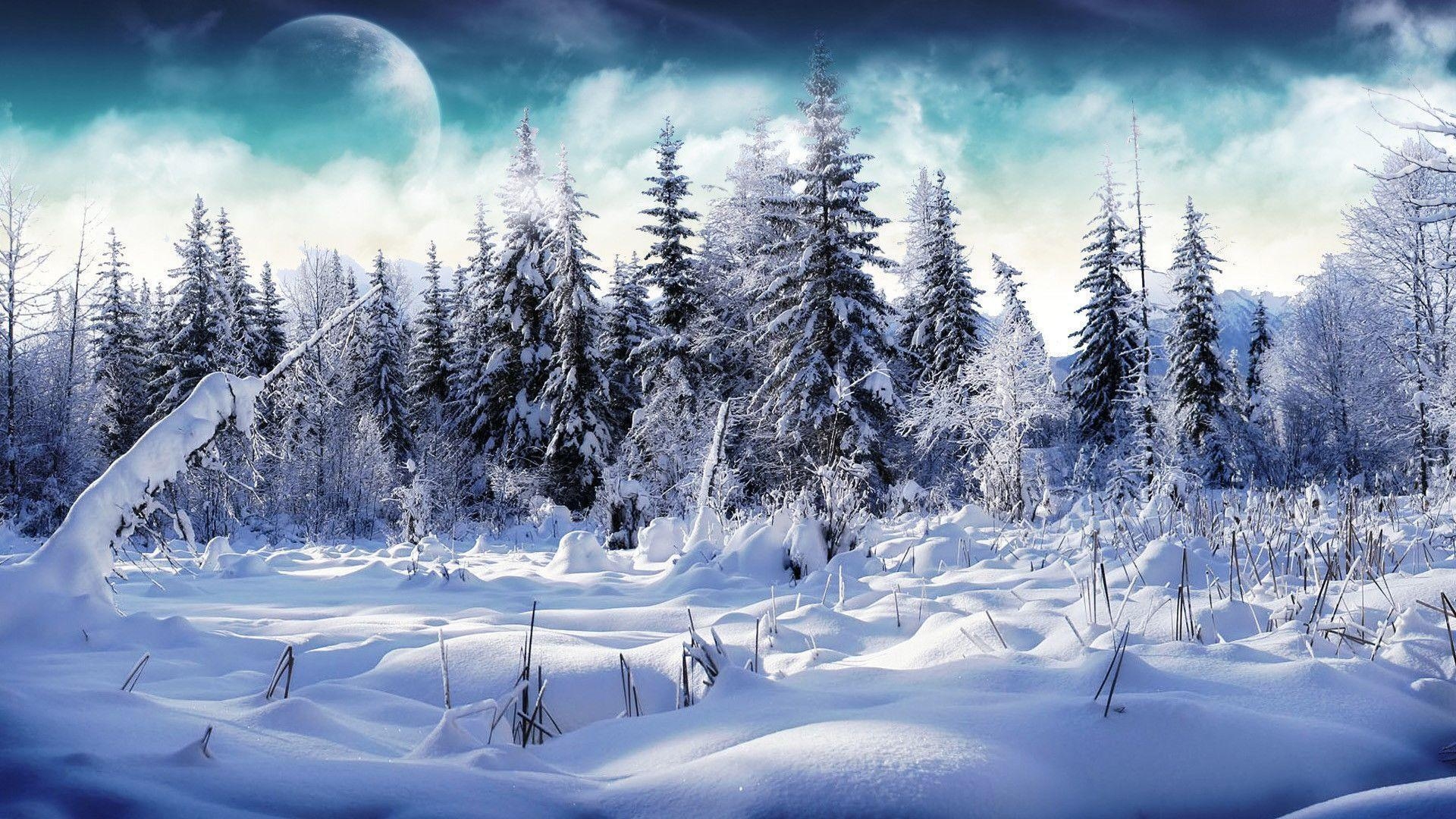 1920x1080 Snow Nature Wallpaper, Desktop