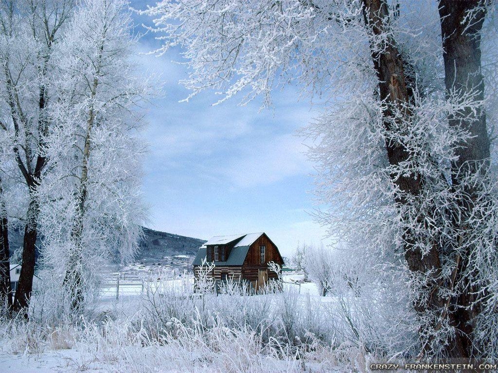 1030x770 Winter Scenes Wallpaper 20 Background, Desktop