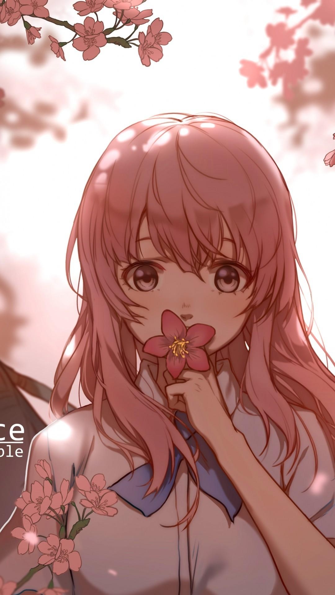 1080x1920 Download  Nishimiya Shouko, Koe No Katachi, Cherry Blossom, Phone