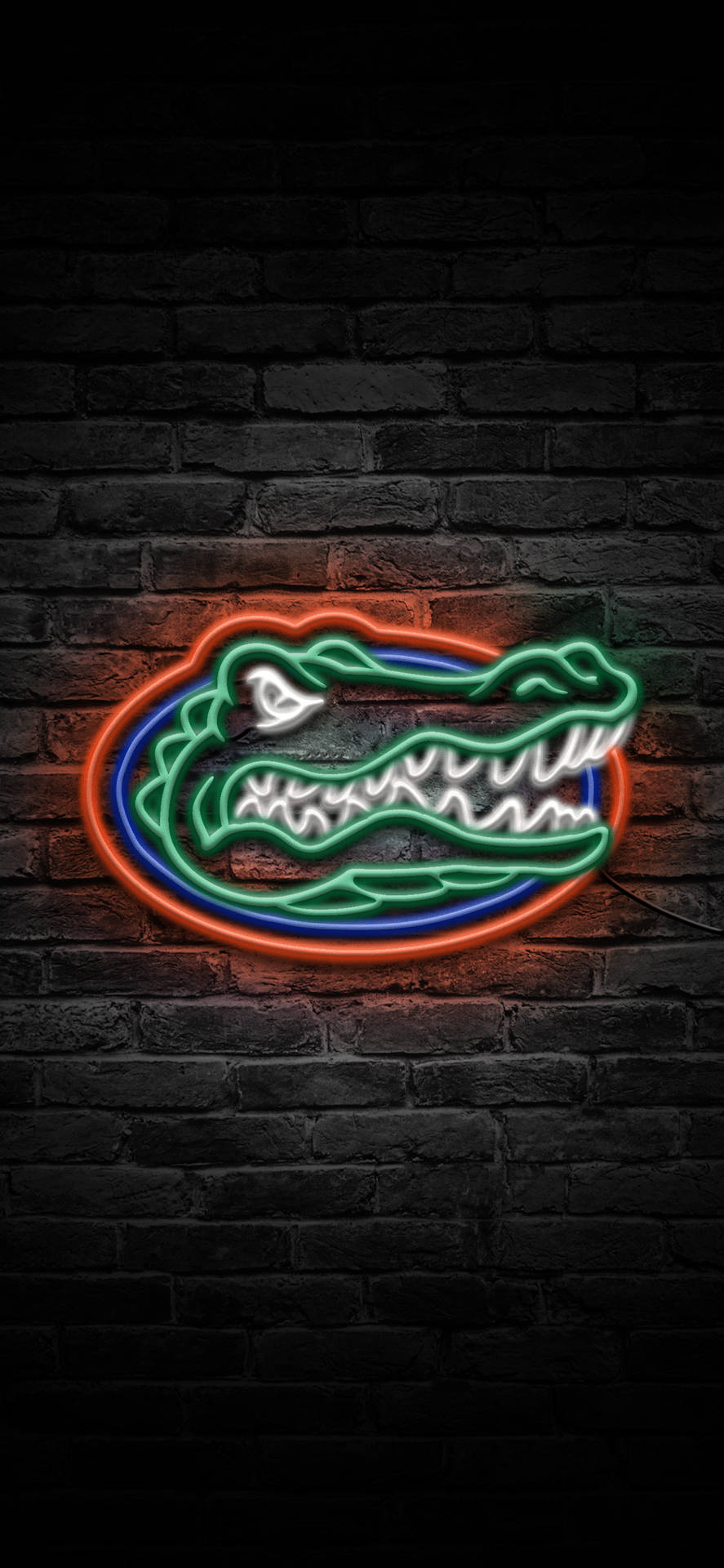 890x1920 Florida Gators Wallpaper, Phone