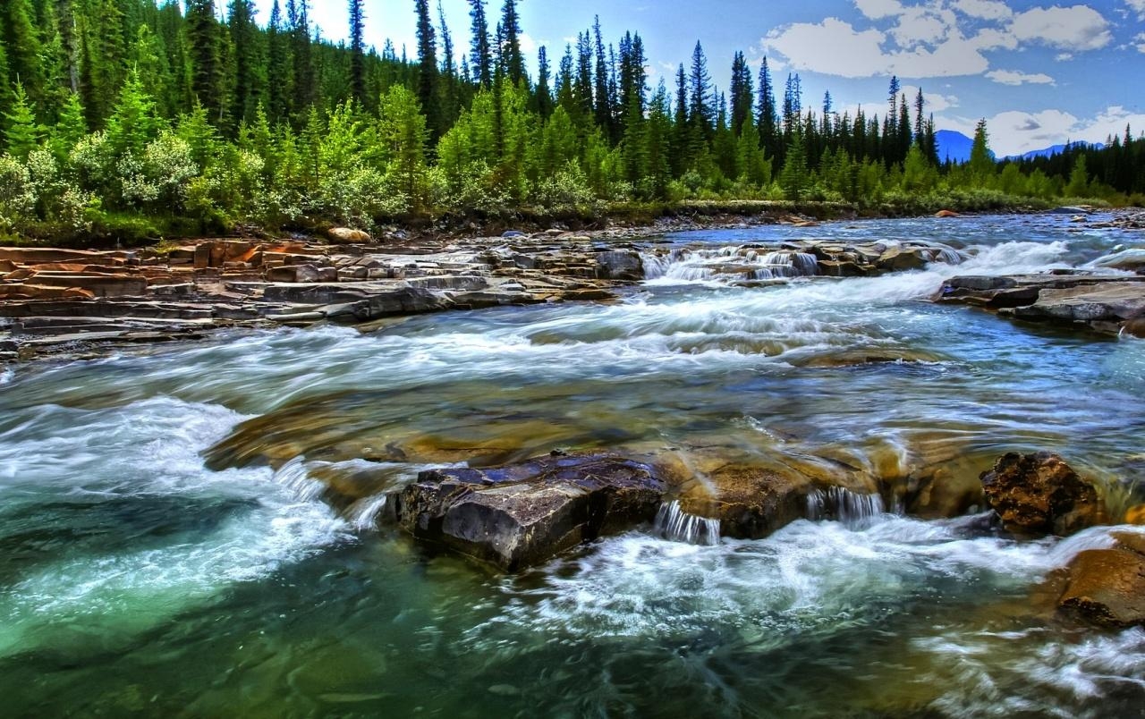 1280x810 Rushing River Rocks Forest wallpaper. Rushing River Rocks, Desktop