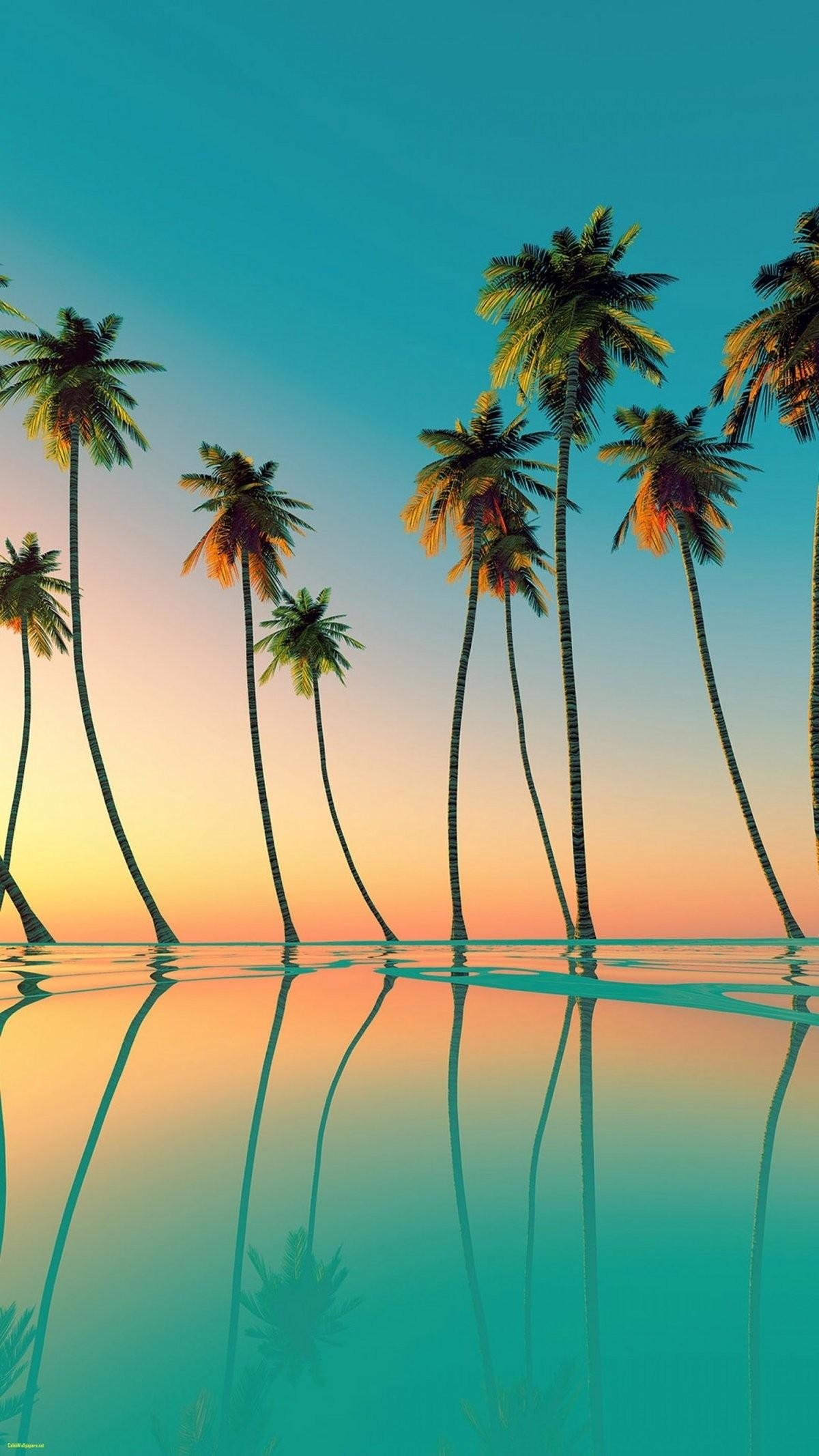 1200x2140 Palm Tree Wallpaper, Phone