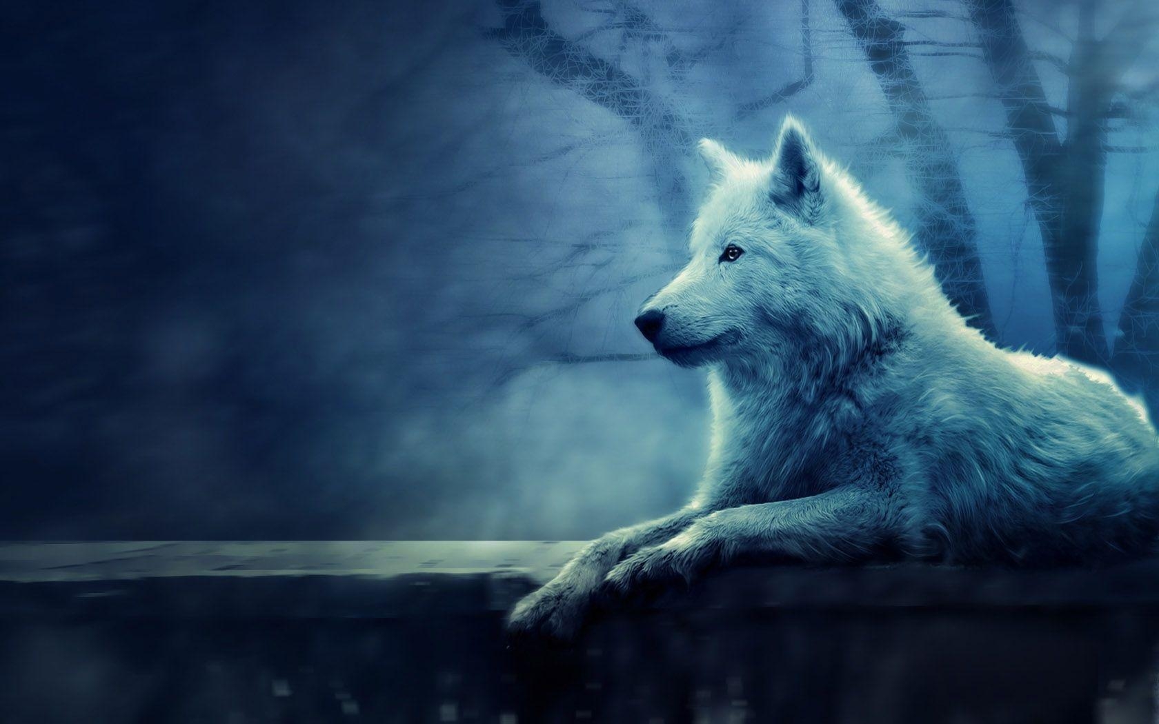 1680x1050 Pix For > White Wolves Wallpaper, Desktop