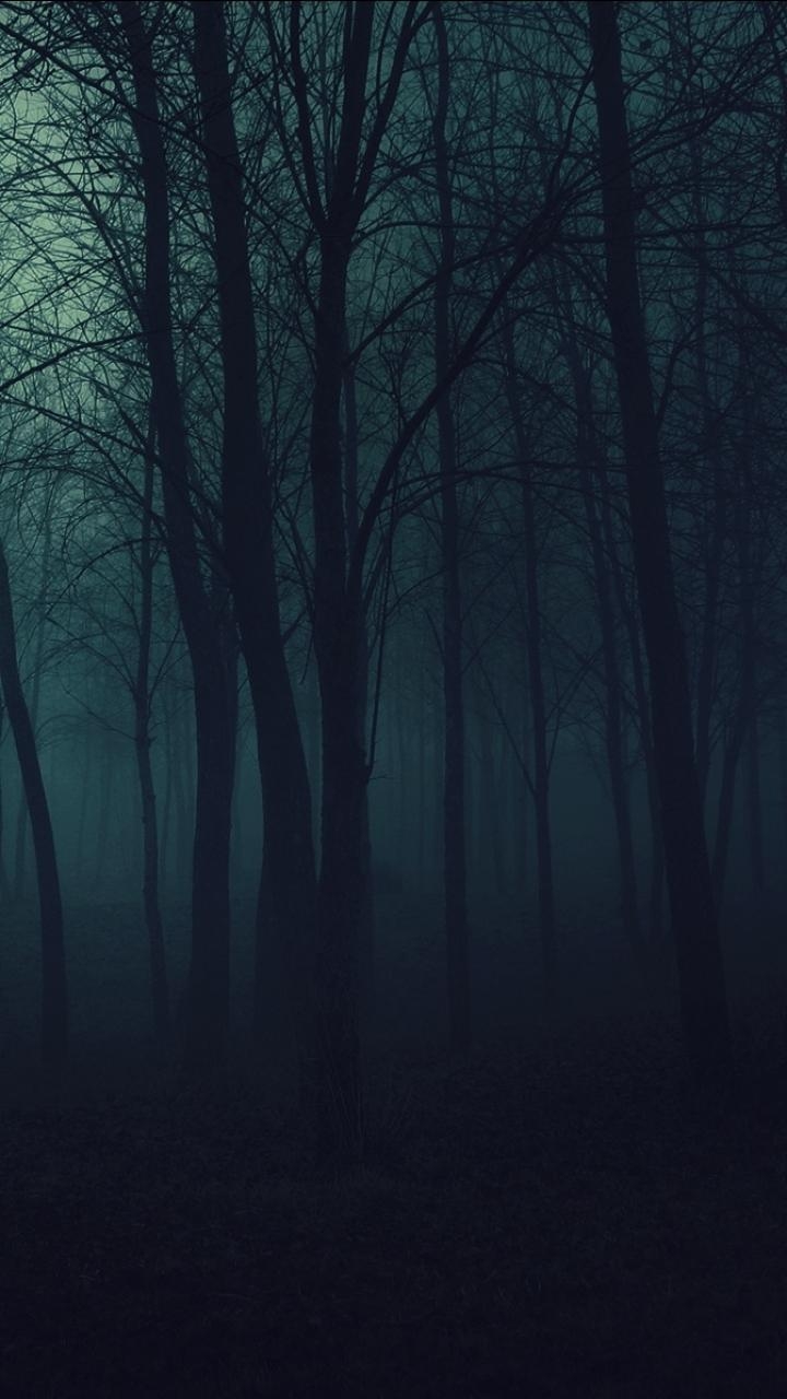 720x1280 Dark Forest () Wallpaper, Phone