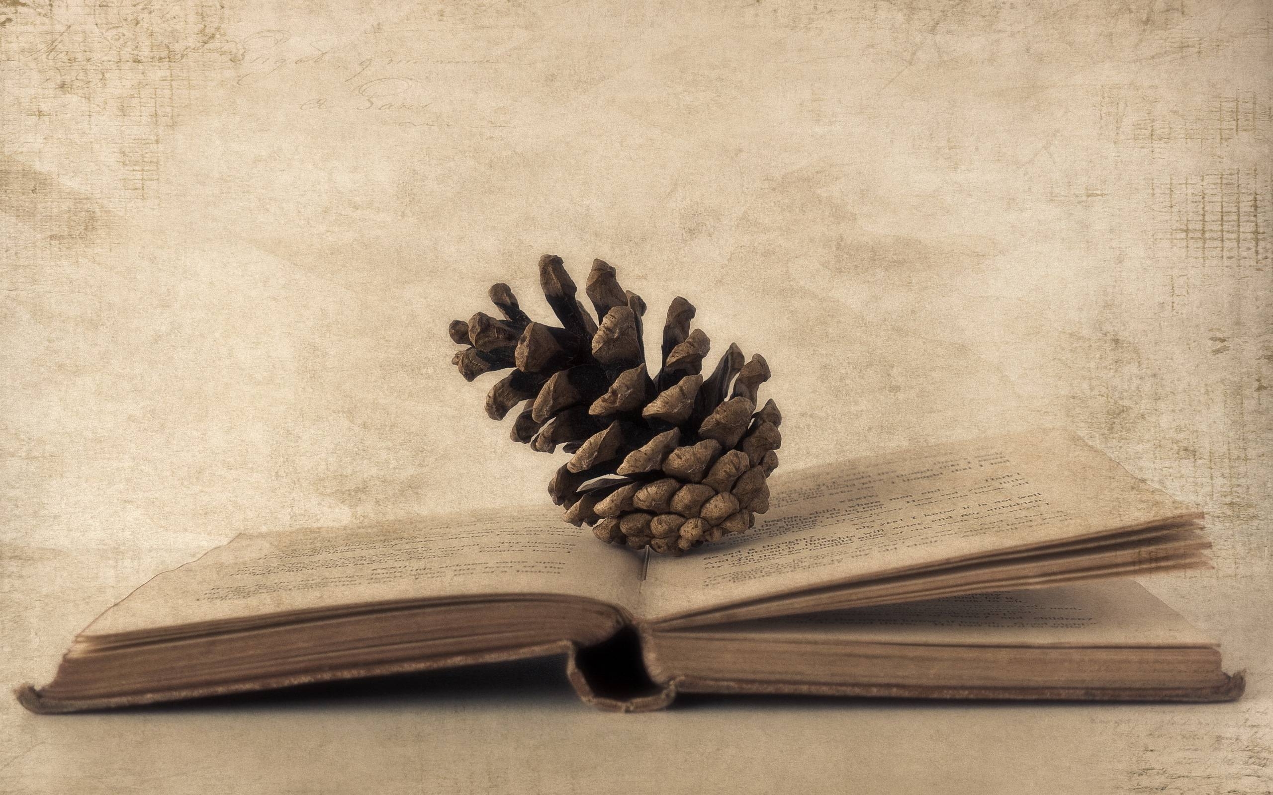 2560x1600 Cool Pinecone On The Book Wide Wallpaper PX Book, Desktop