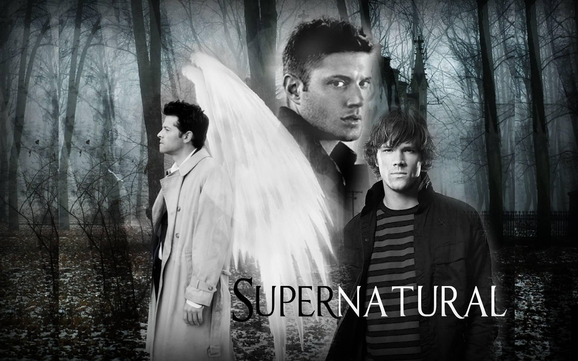 1920x1200 Supernatural Skillet Supernatural Wallpaper HD, Desktop