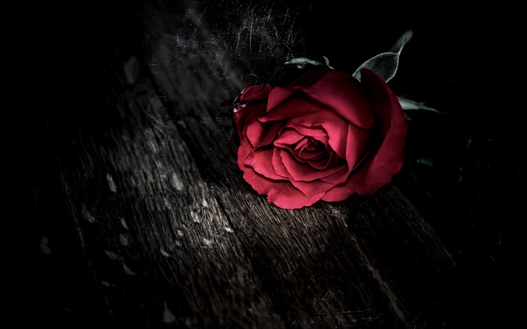 1680x1050 dark, Gothic, Holidays, Valentineand039s, Day, Roses, Mood Wallpaper HD / Desktop and Mobile Background, Desktop