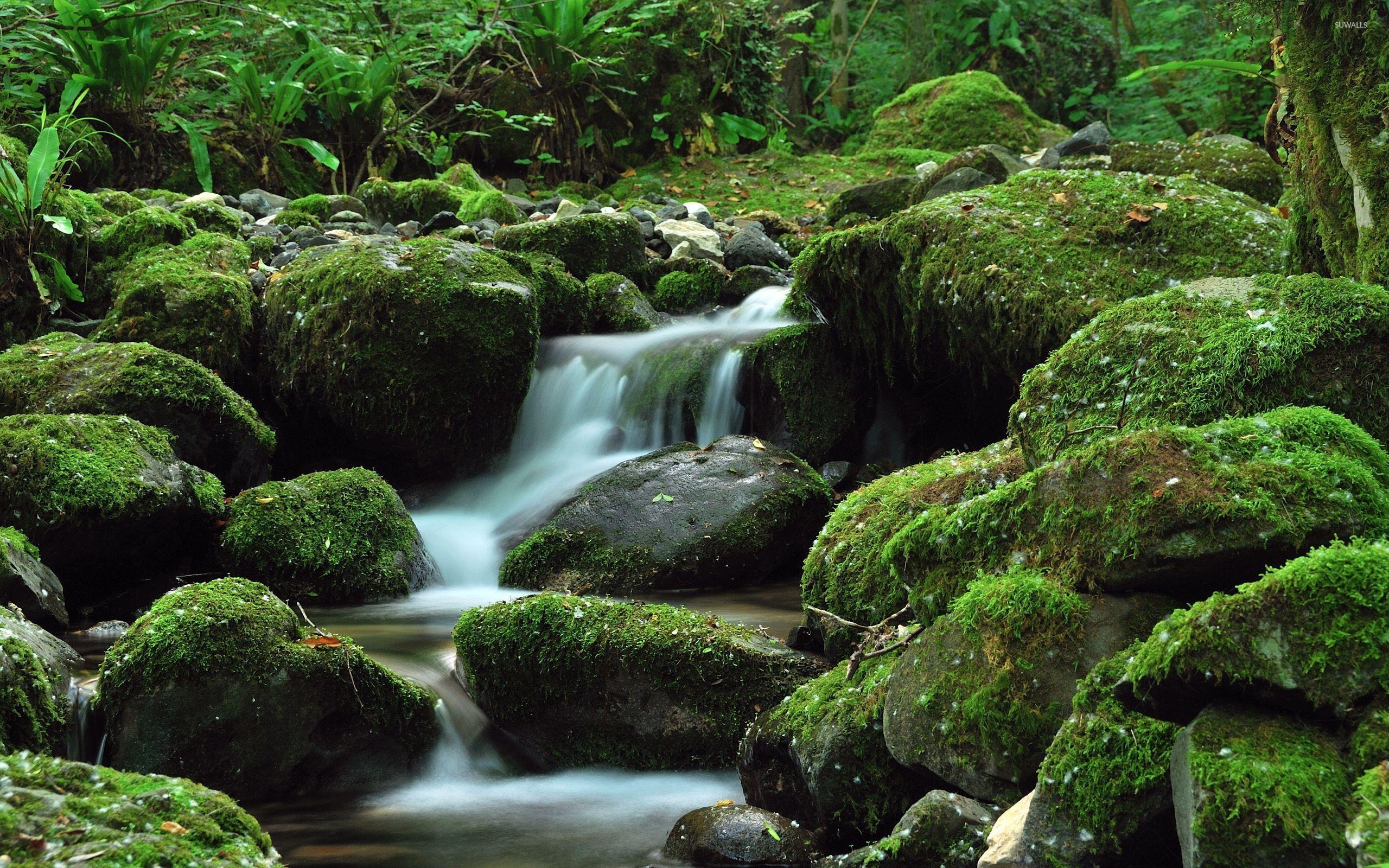 2560x1600 Water fallingsy rock wallpaper, Desktop