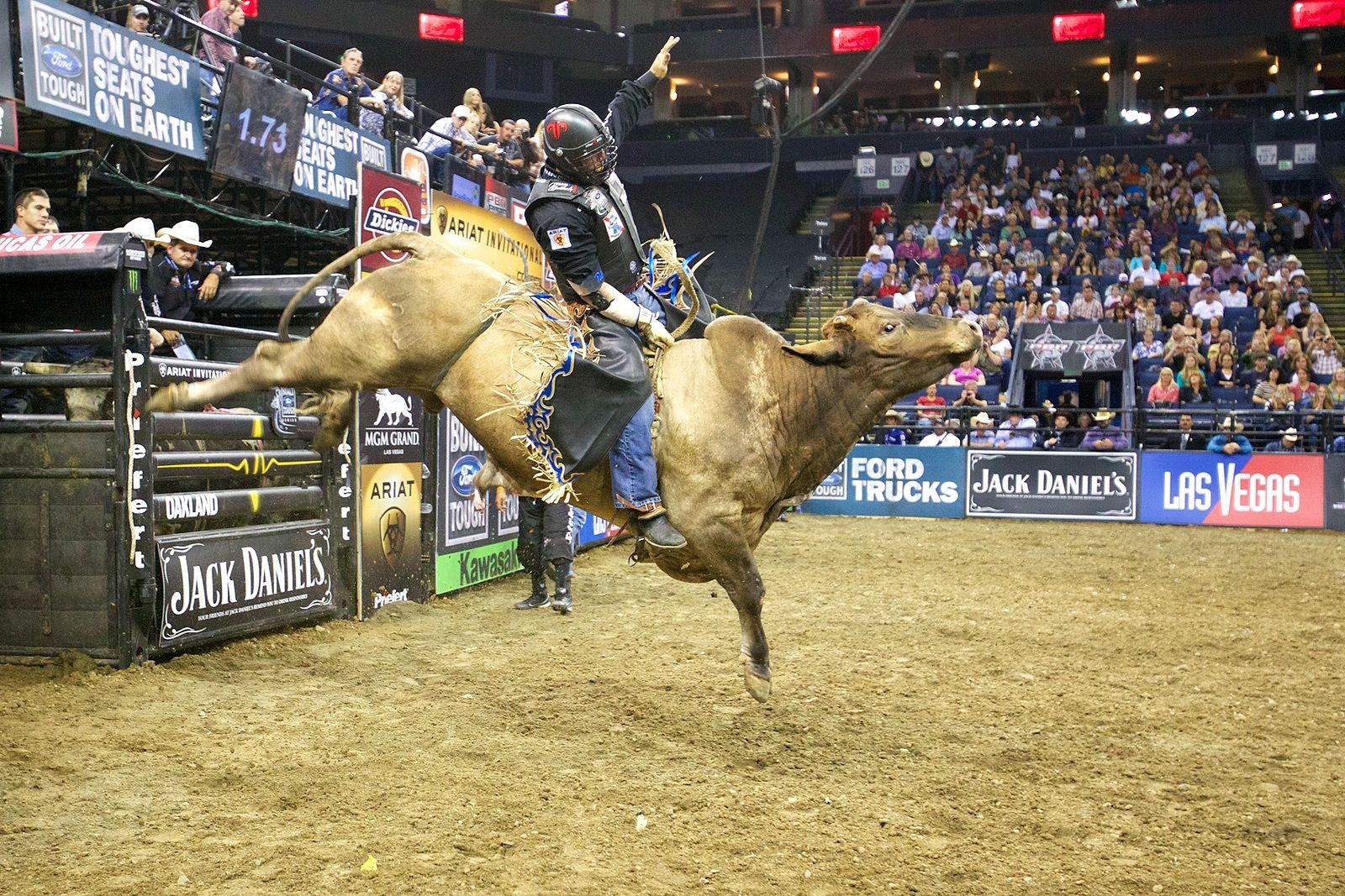 1600x1070 px Bull Riding Wallpaper, Desktop