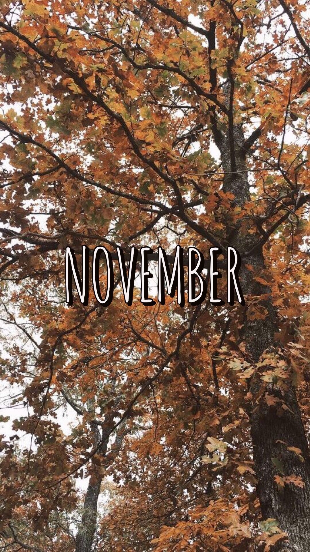 1080x1920 november wallpaper. November wallpaper, Cute fall wallpaper, November background, Phone