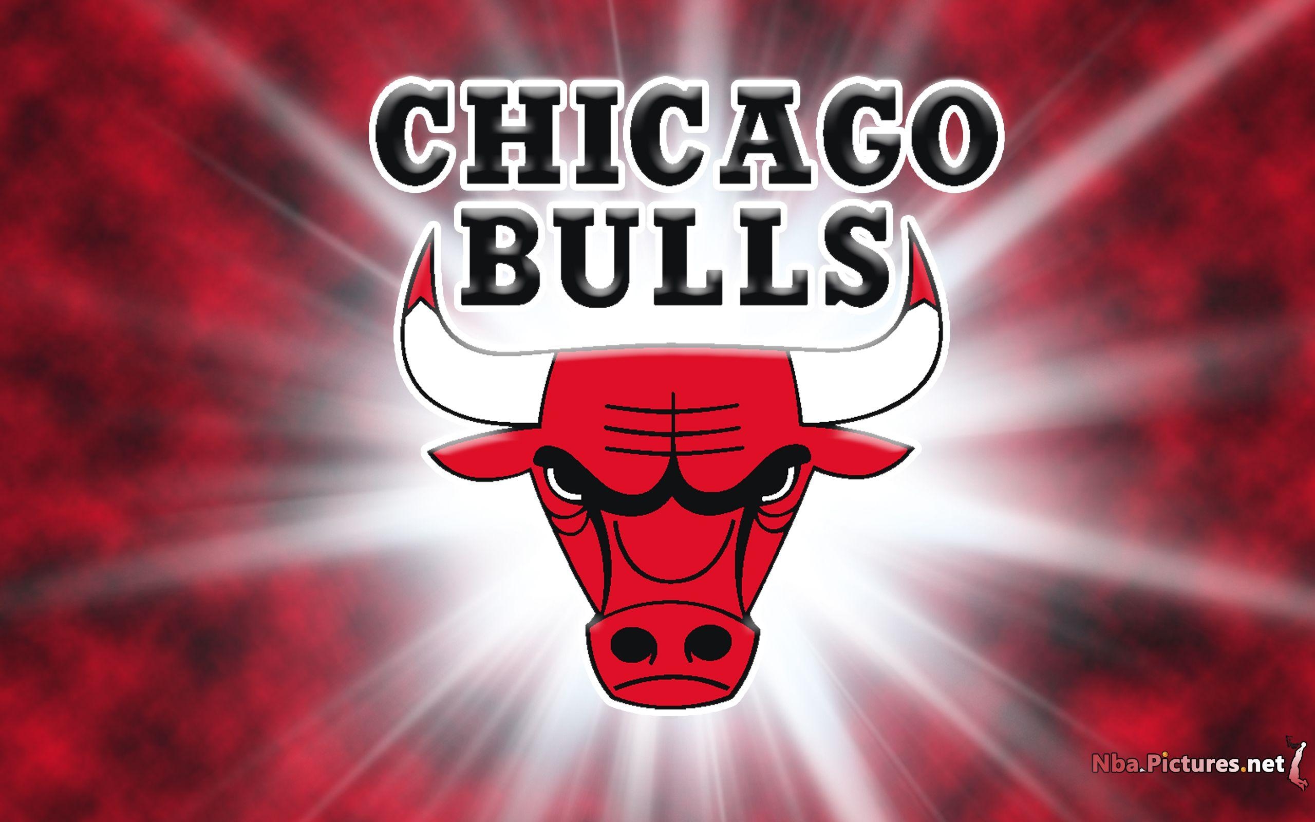 2560x1600 Free Bulls, Download Free Clip Art, Free Clip Art on Clipart Library, Desktop