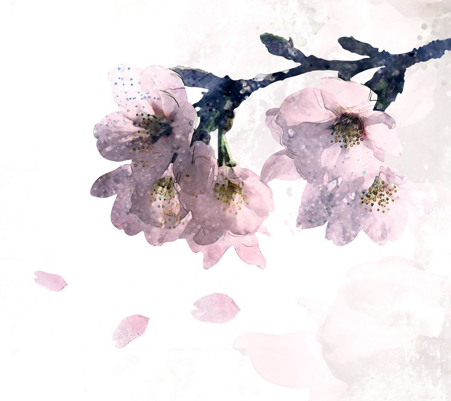 1440x1280 Korean Flower Wallpaper Free Korean Flower Background, Desktop