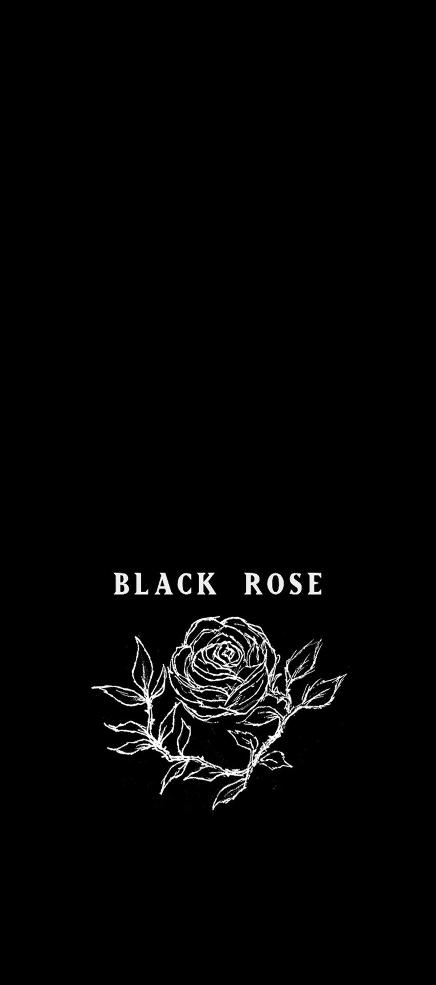 860x1920 the rose wallpaper, Phone