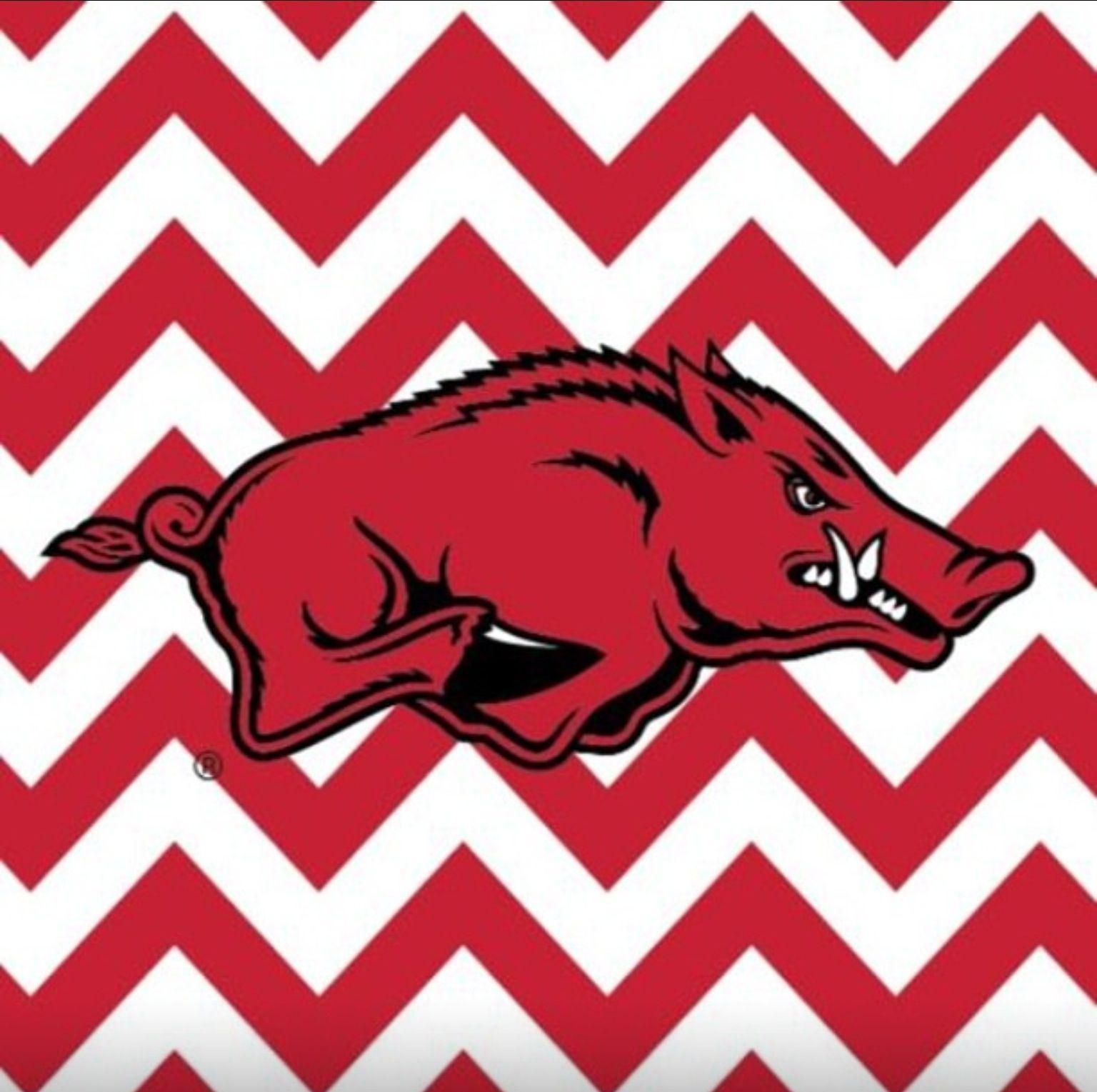 1540x1530 Chevron Razorback Wallpaper, Desktop