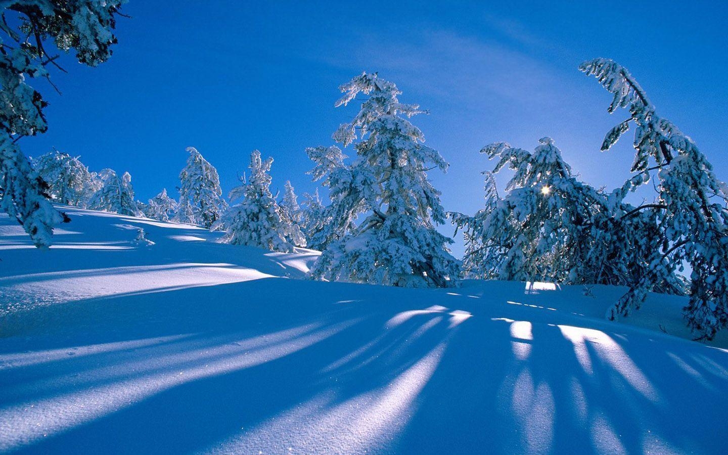 1440x900 Winter wonderland, Dreamy Snow Scene wallpaper  NO.26, Desktop