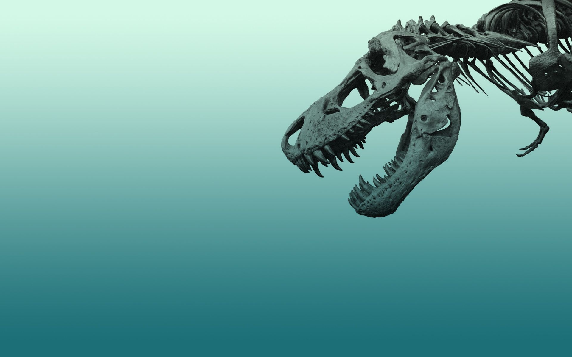 1920x1200 Dinosaur Background. Dinosaur Wallpaper, Cute Dinosaur Wallpaper and Dinosaur Skeleton Wallpaper, Desktop