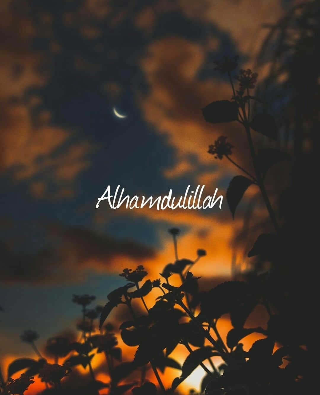 1080x1340 Alhamdulillah❤. Islamic love quotes, Allah quotes, Phone