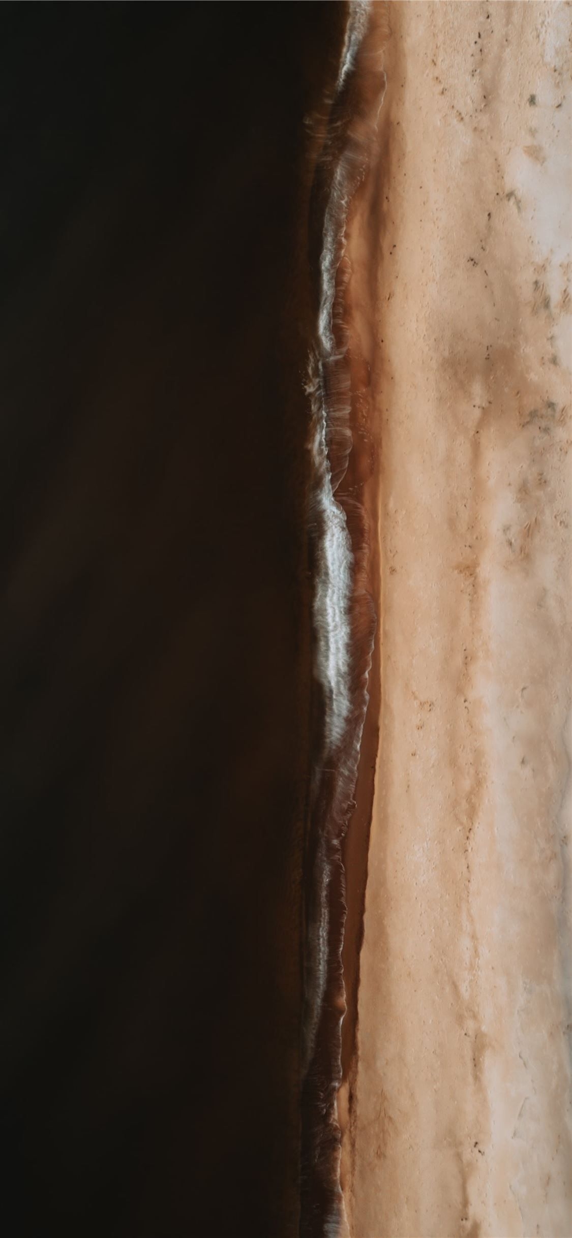 1130x2440 brown and white abstract painting iPhone 11 Wallpaper Free Download, Phone