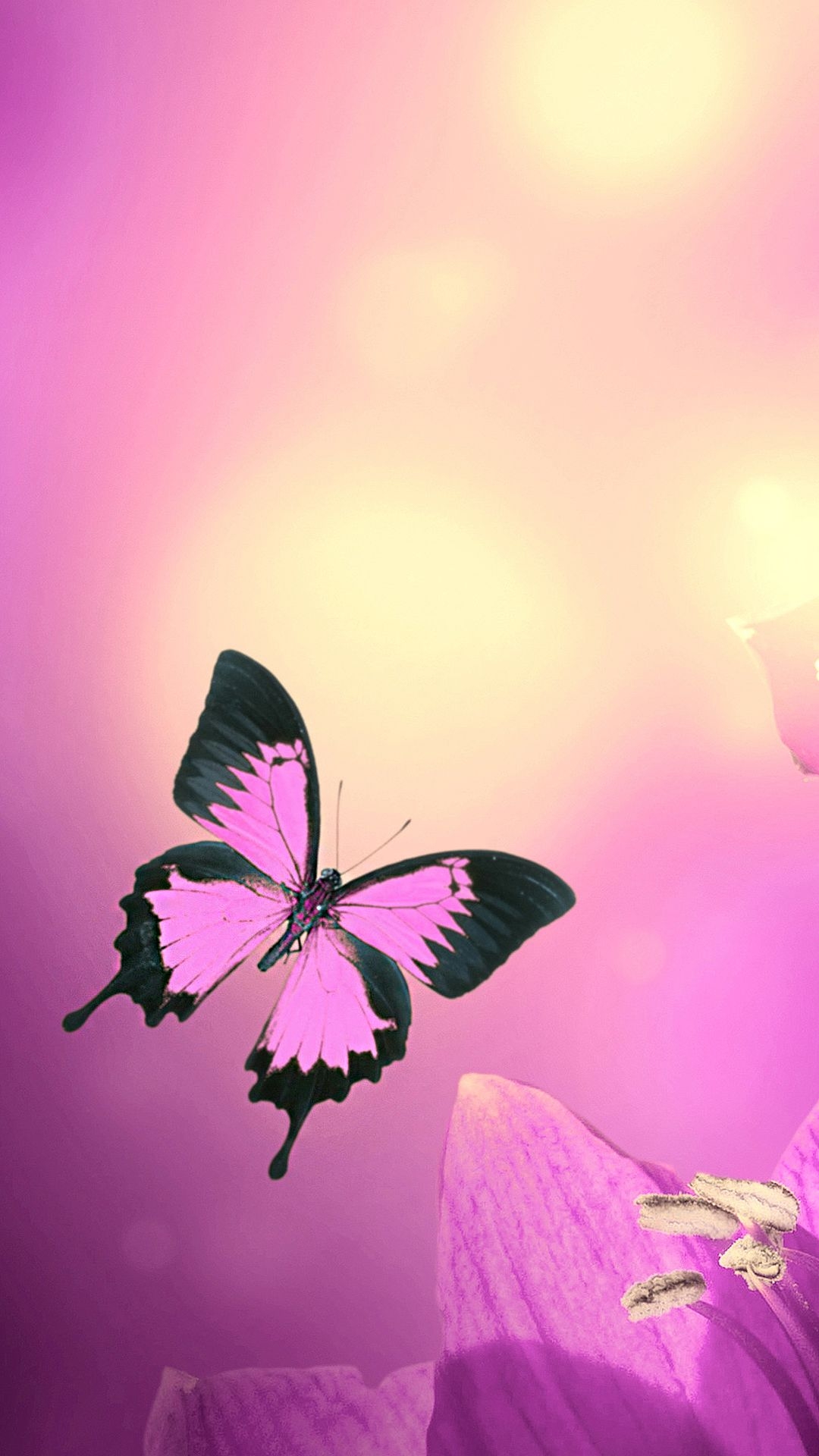 1080x1920 Pink Butterfly iPhone Wallpaper HD, Phone