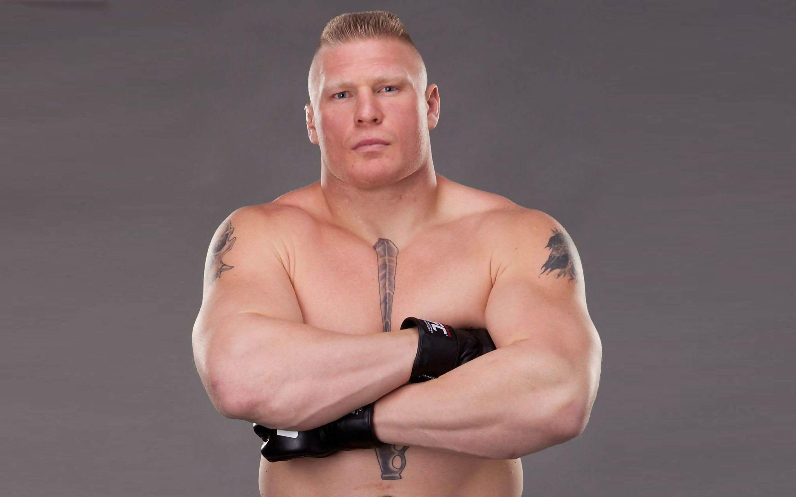 2560x1600 Brock Lesnar Professional Wrestler HD Wallpaper, Desktop