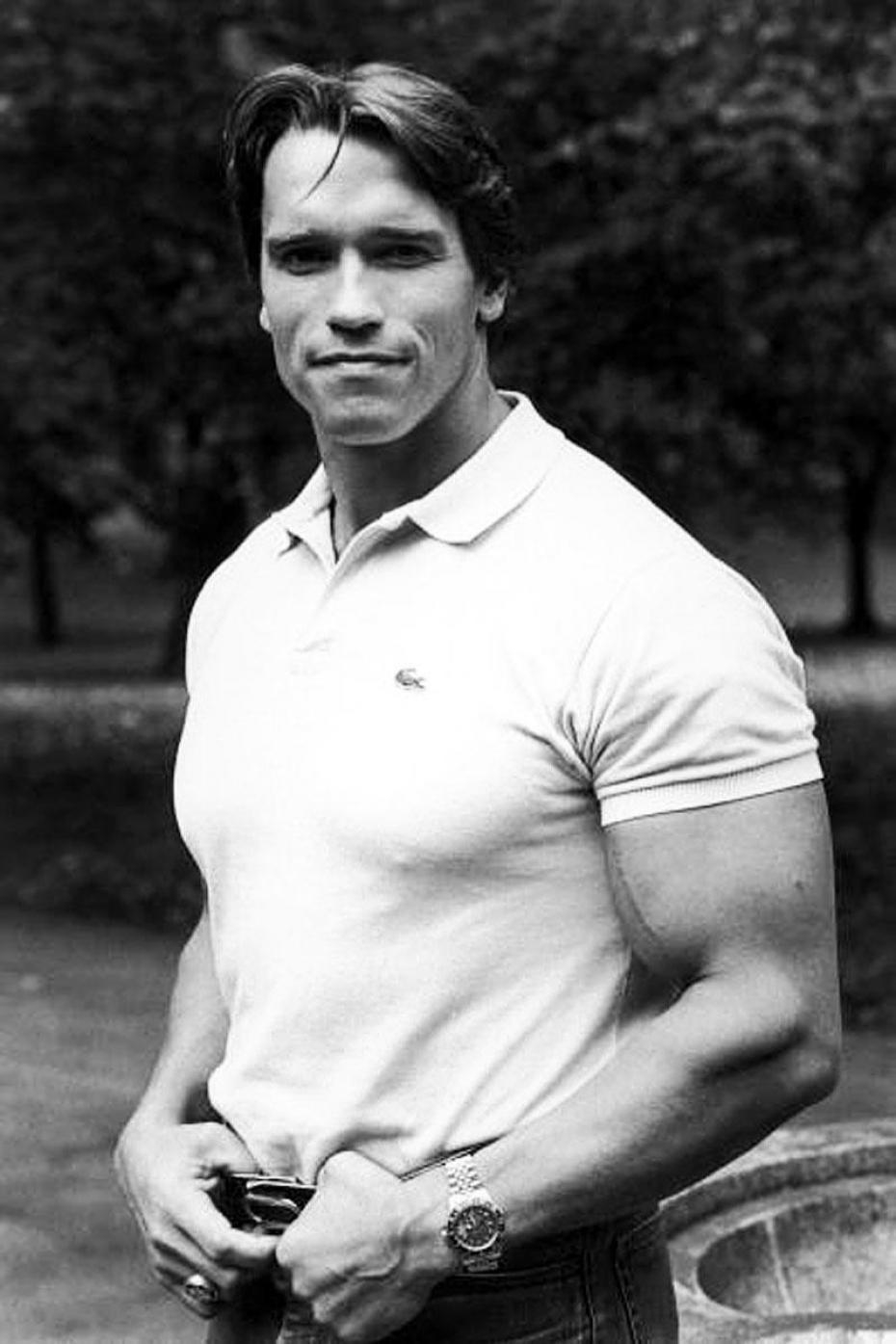 930x1400 Arnold Schwarzenegger HD iPhone, Phone