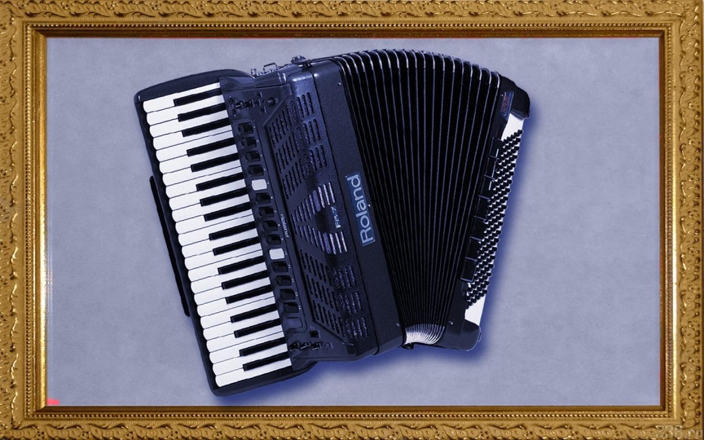 1440x900 Accordion wallpaper, picture, Accordion, accordion picture, Desktop