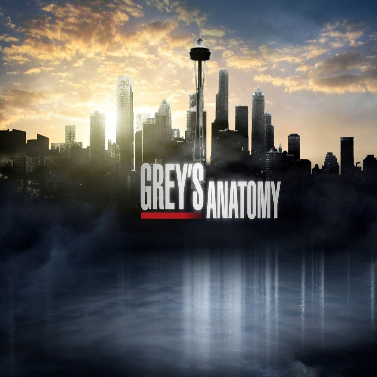 1290x1290 grey's anatomy iphone wallpaper's, Phone