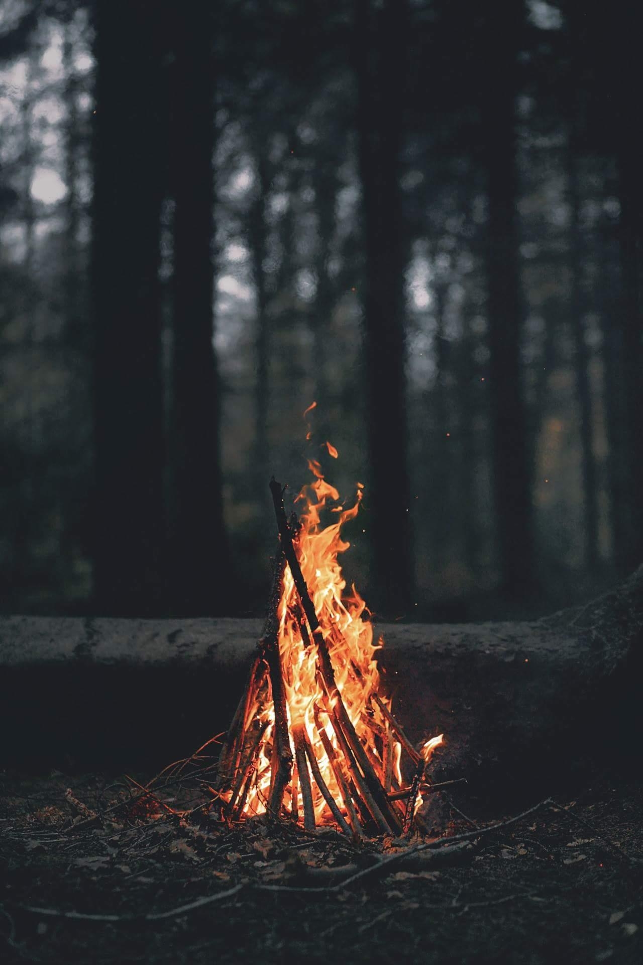 1280x1920 Wallpaper, forest, campfire, cozy, Phone