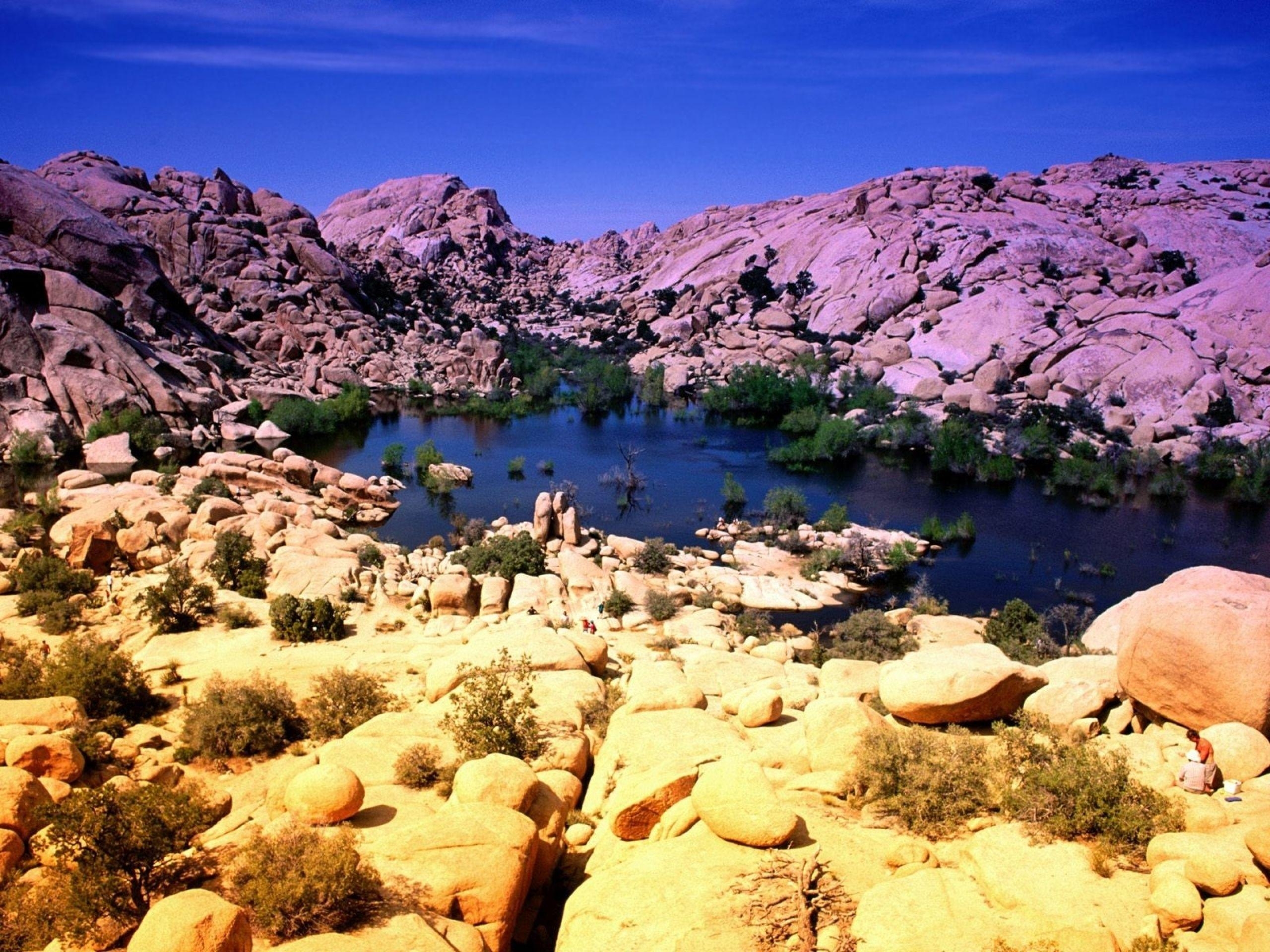 2560x1920 Joshua Tree National Park wallpaper. Joshua Tree National Park, Desktop