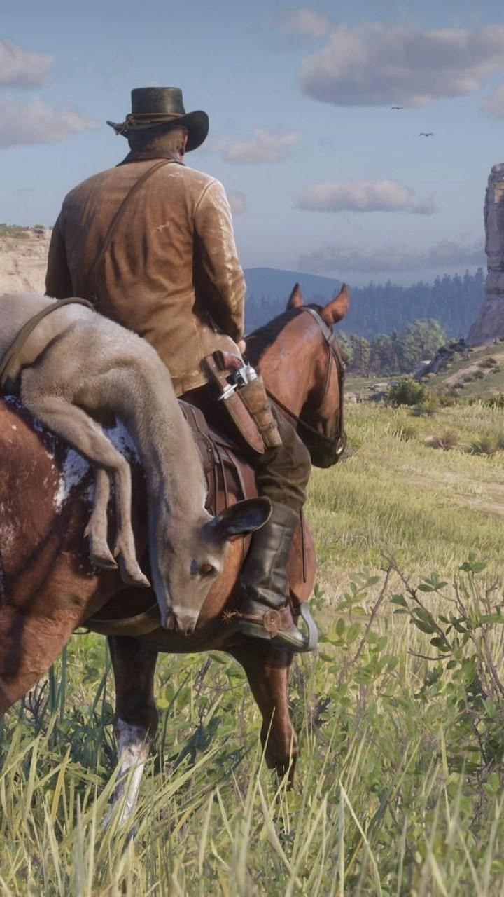 720x1280 Red Dead Redemption 2 Wallpaper for Android, Phone