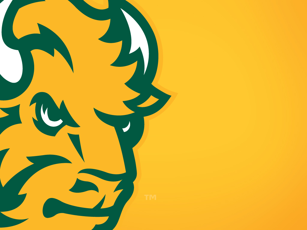 1030x770 NDSU Bison Wallpaper, Desktop