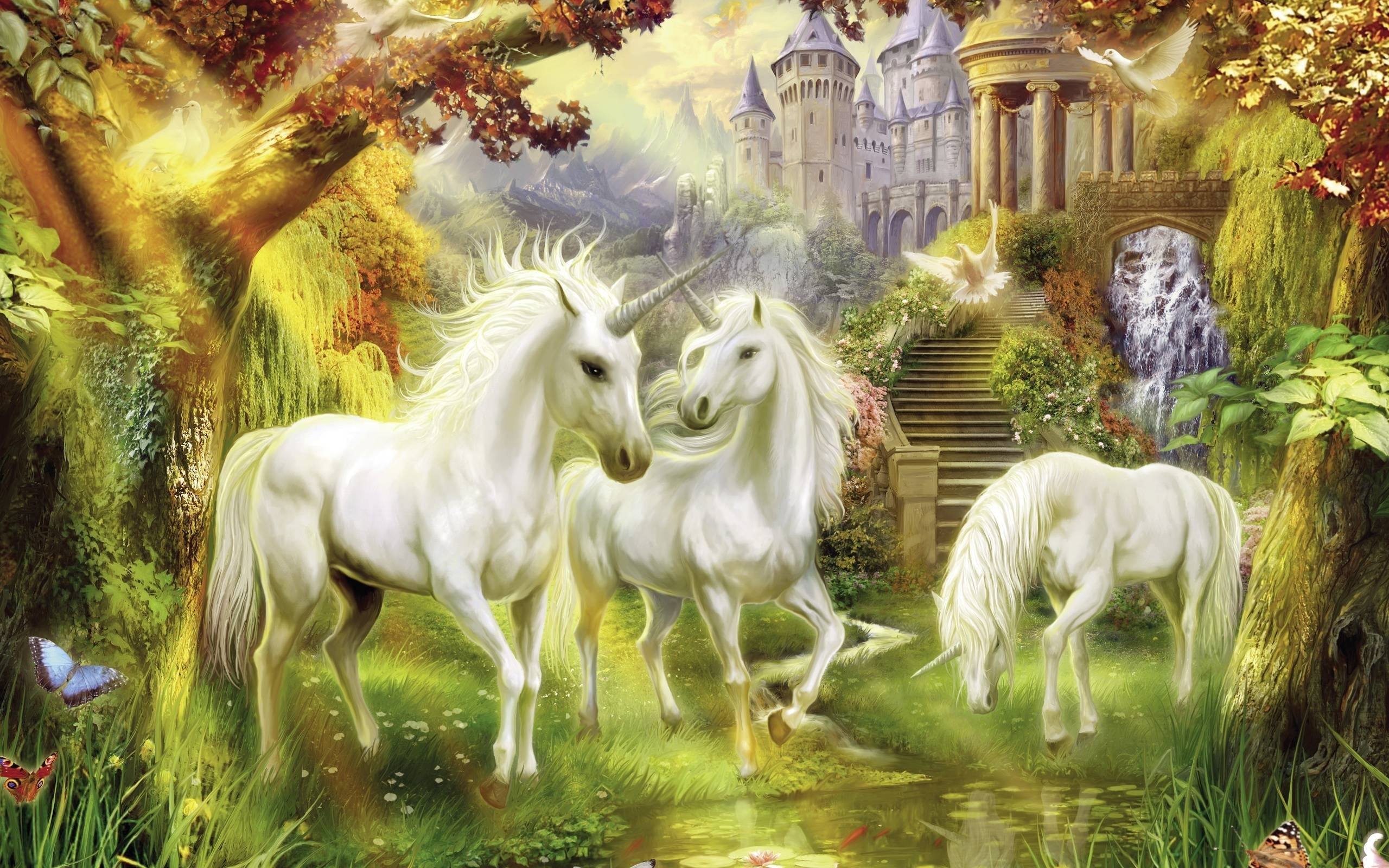 2560x1600 Unicorn wallpaper background background, Desktop