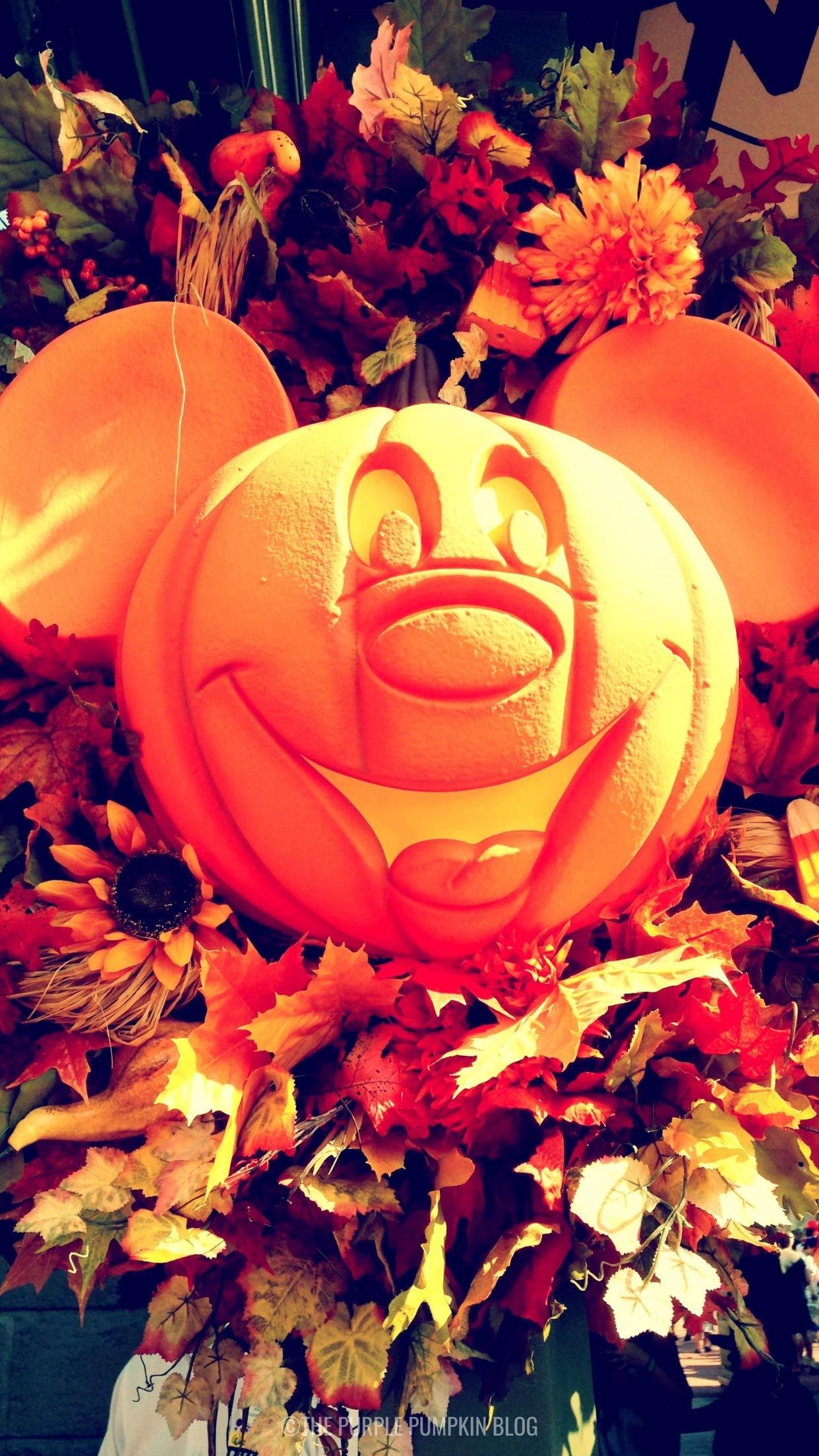 1250x2210 Disney Fall iPhone Wallpaper to Download for Free!, Phone