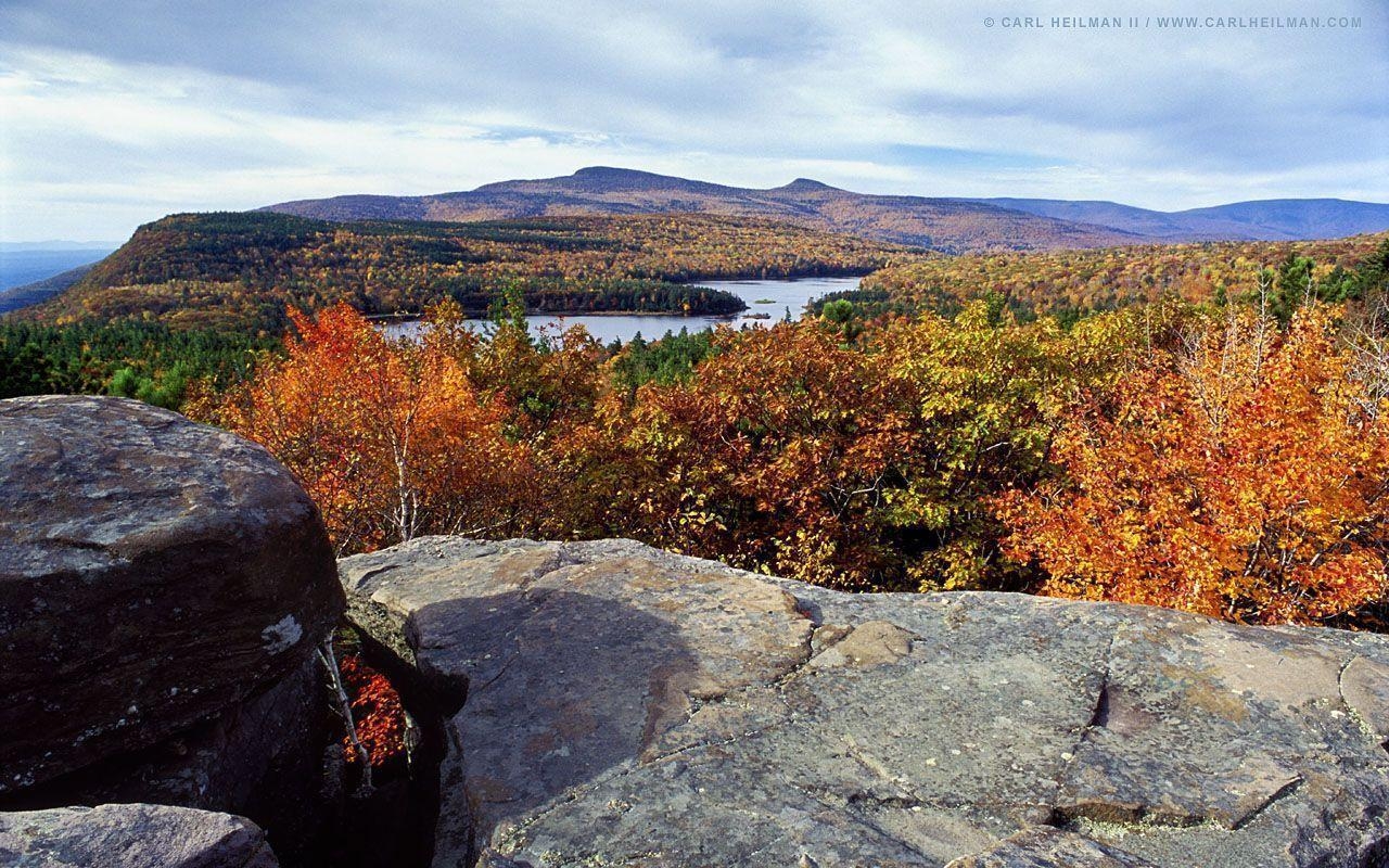 1280x800 Fall Foliage Celebration - University at Buffalo Libraries, Desktop