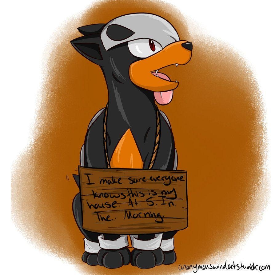 900x900 Houndour Pokemon Shaming, Phone